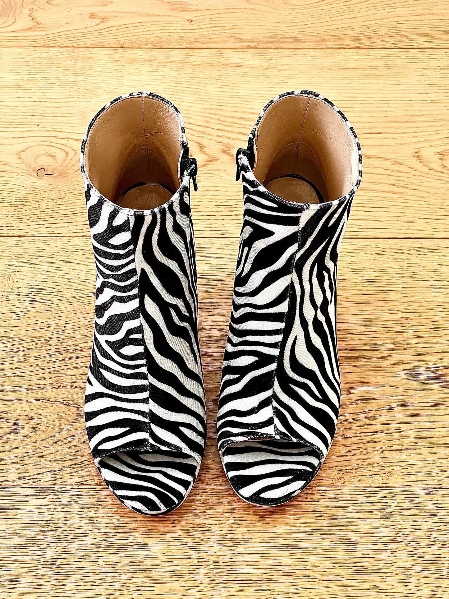 AMAZON ZEBRA