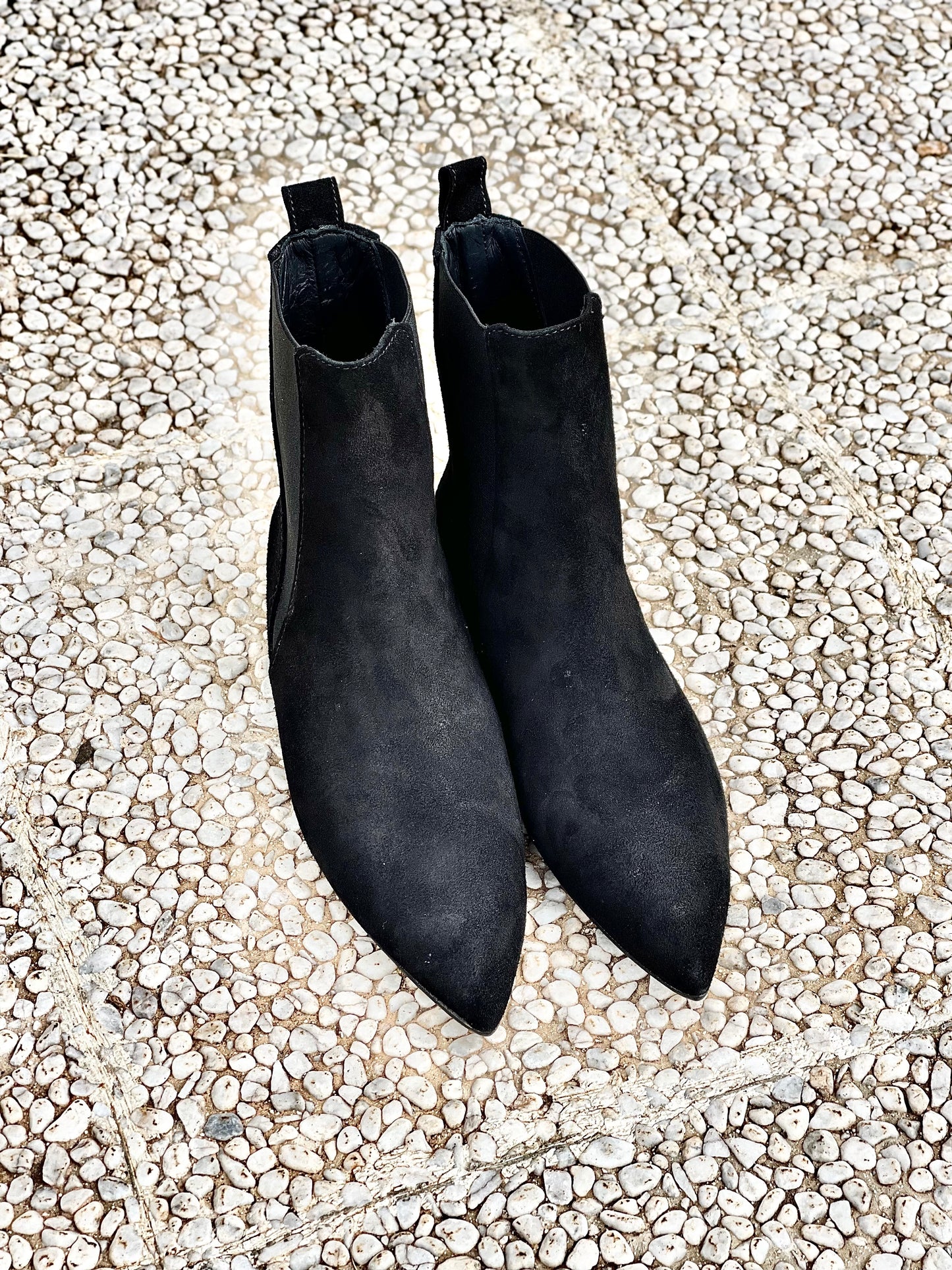 ALEX SCHWARZES WILDLEDER