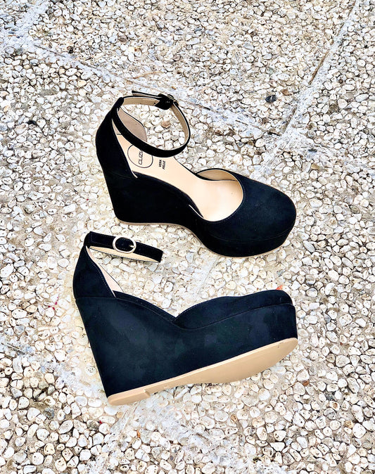 ROXI SCHWARZ WILDLEDER