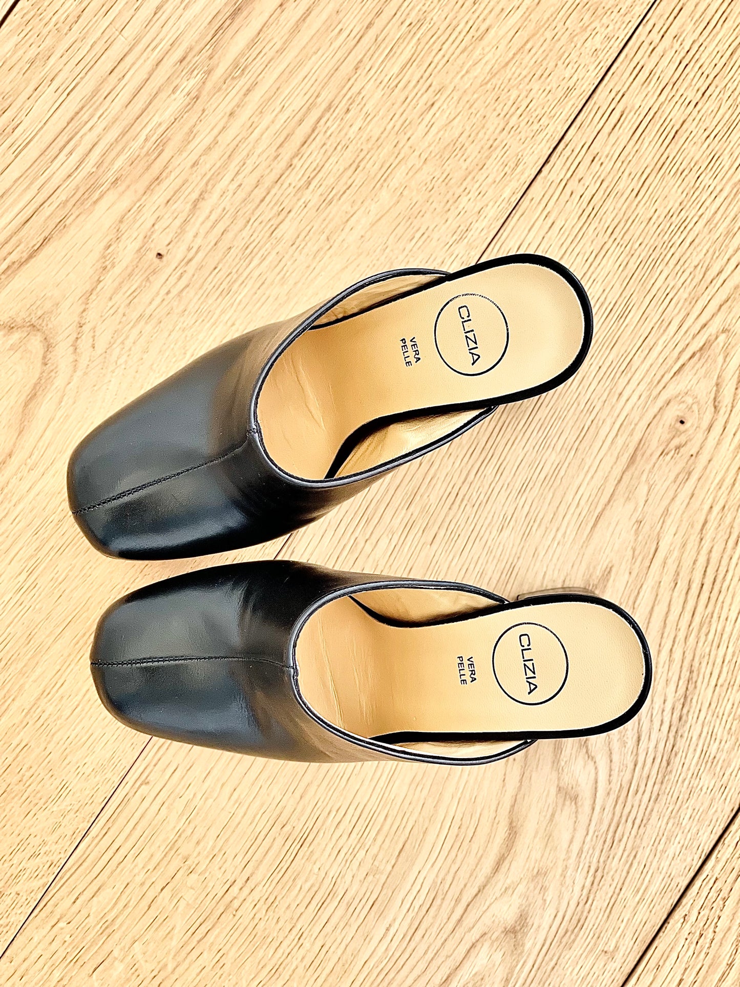 ELVIRA LEDER SCHWARZ