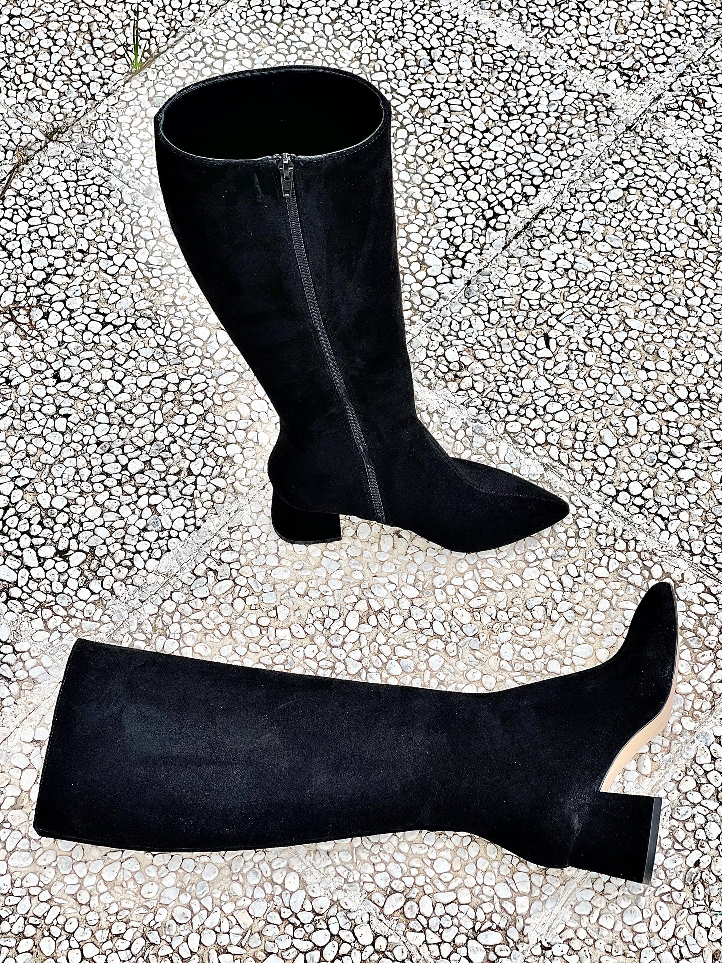 BOLIVIA BLACK SUEDE