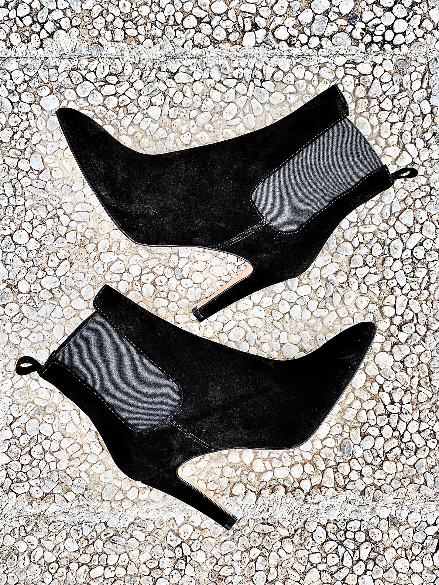 FOX BLACK SUEDE