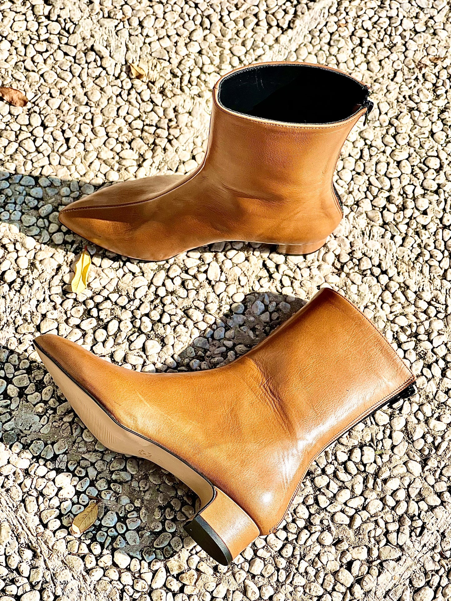 PLANET LEATHER