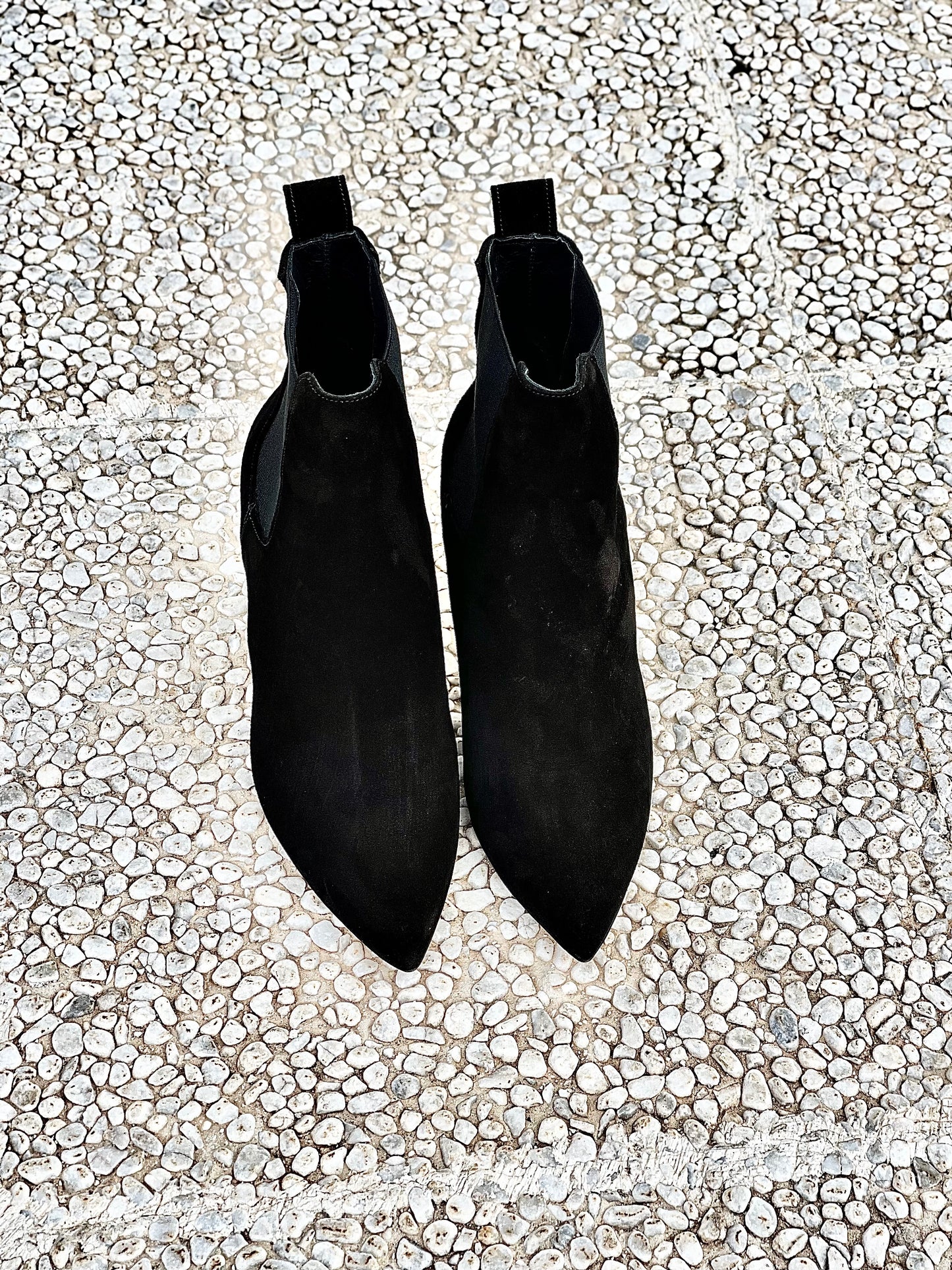 FOX BLACK SUEDE