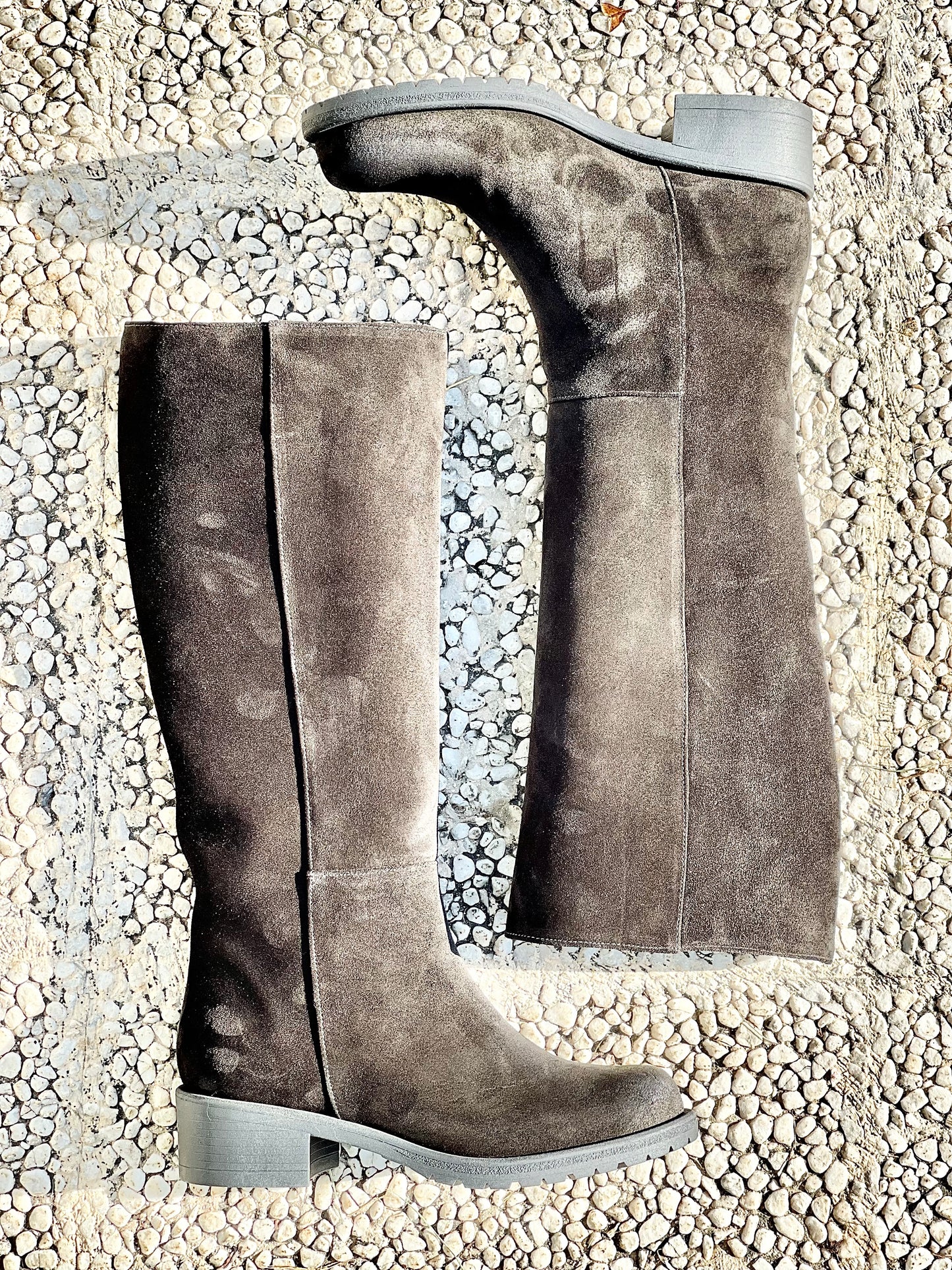 ZEUS BLACK SUEDE