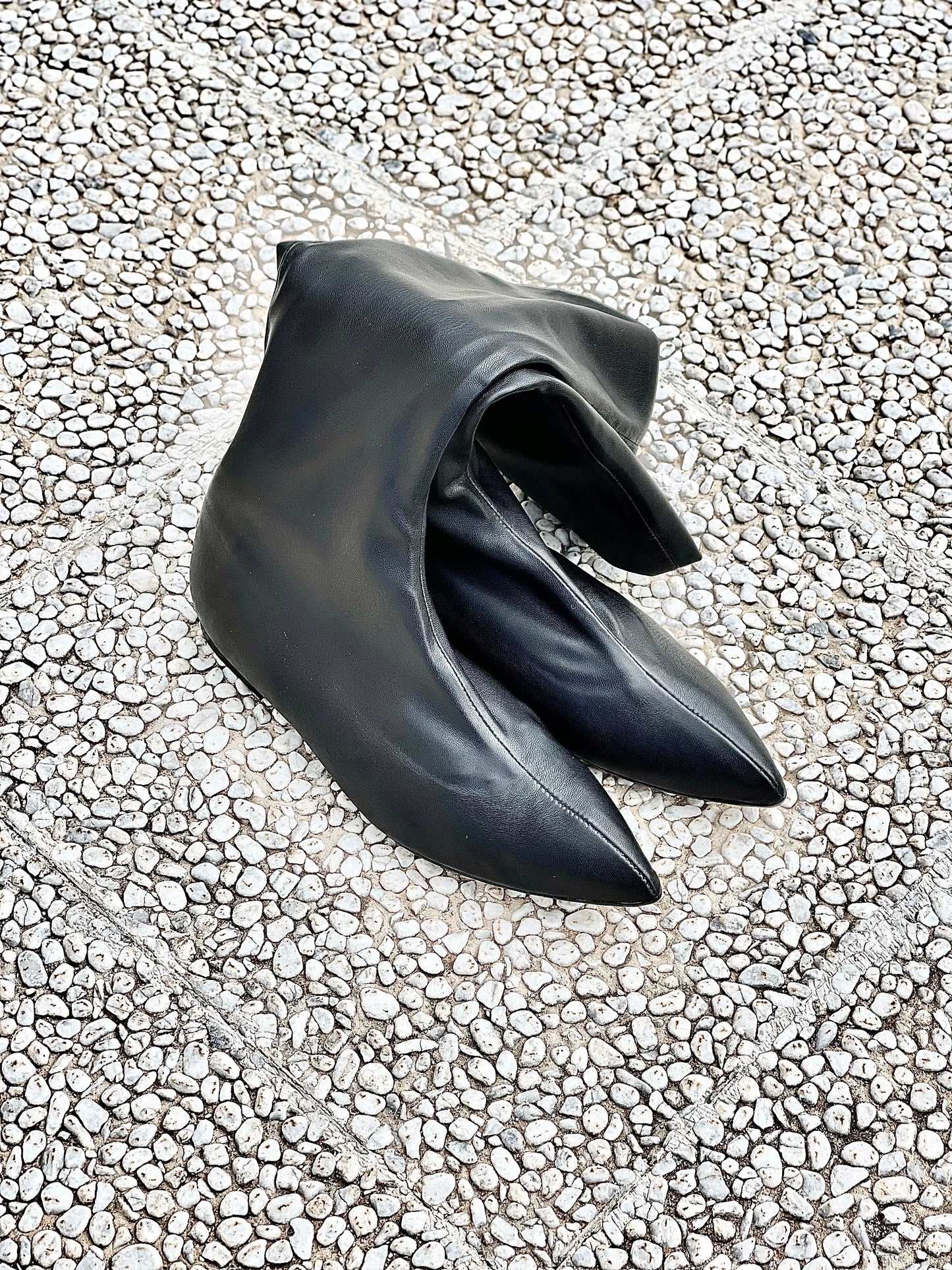 GINKO NEGRO
