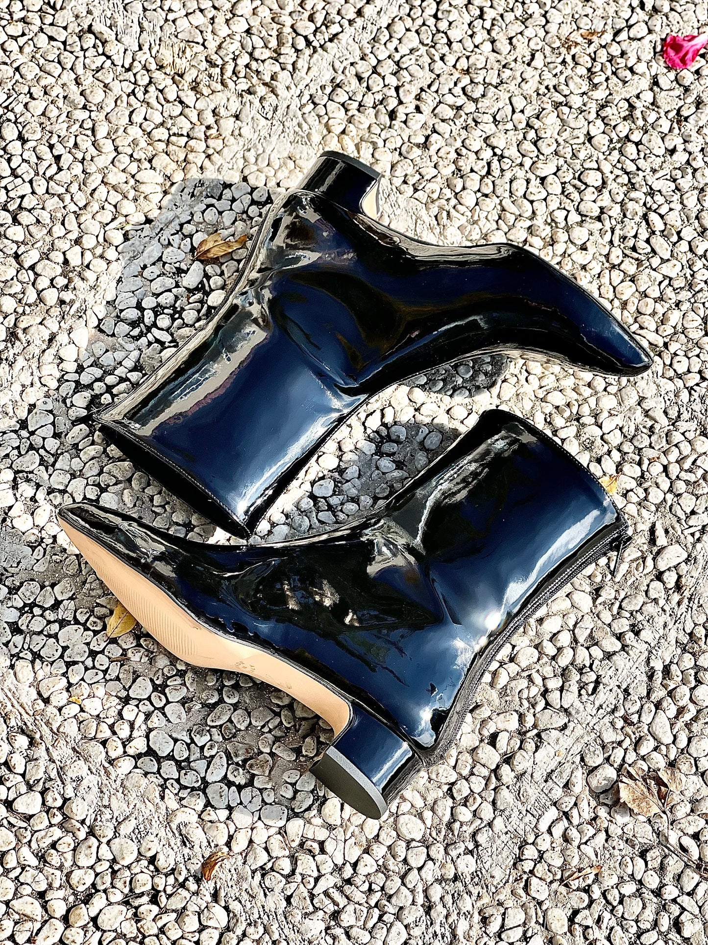 PEINTURE NOIRE DE LA PLANÈTE