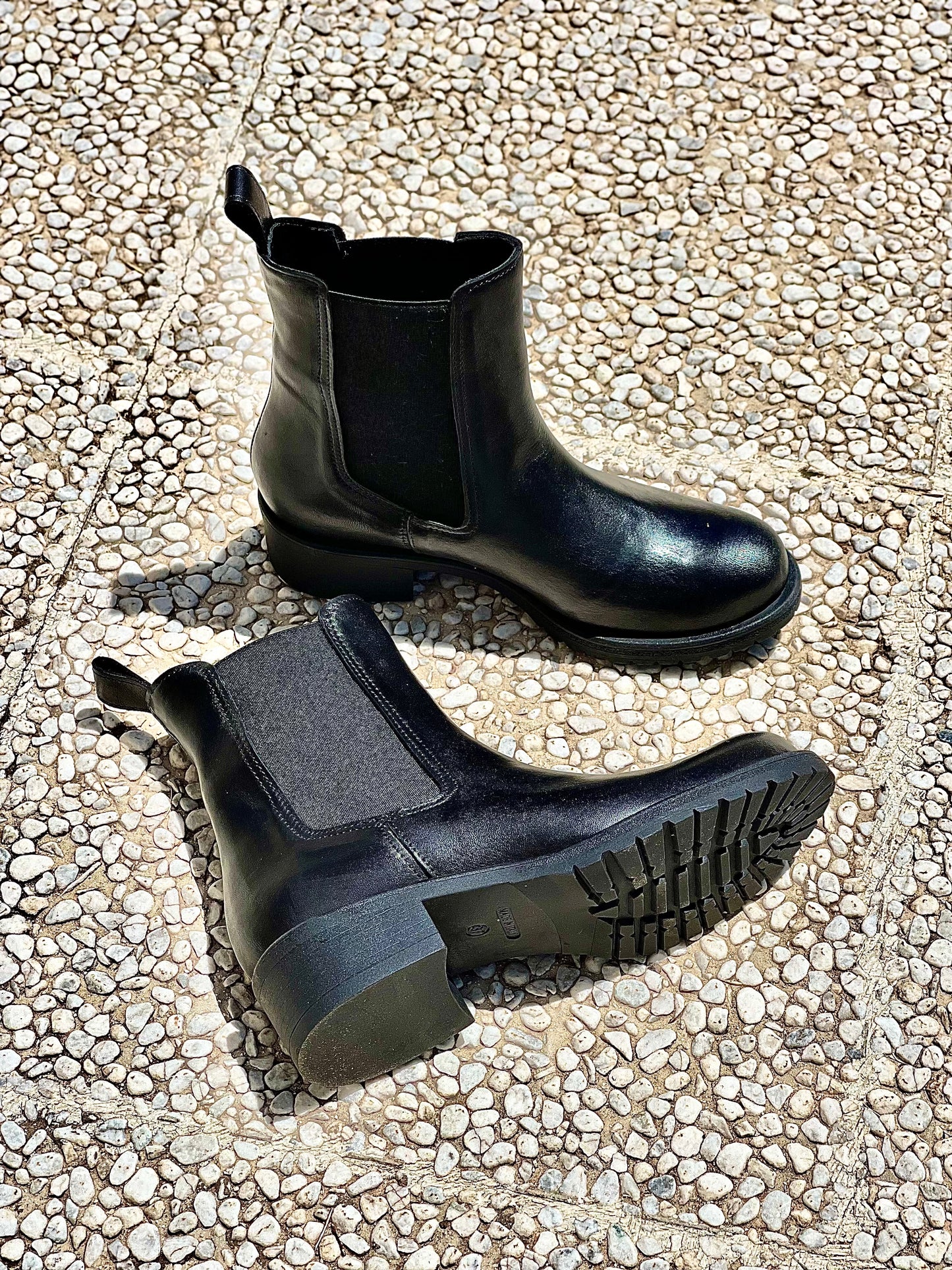 בלאק טד