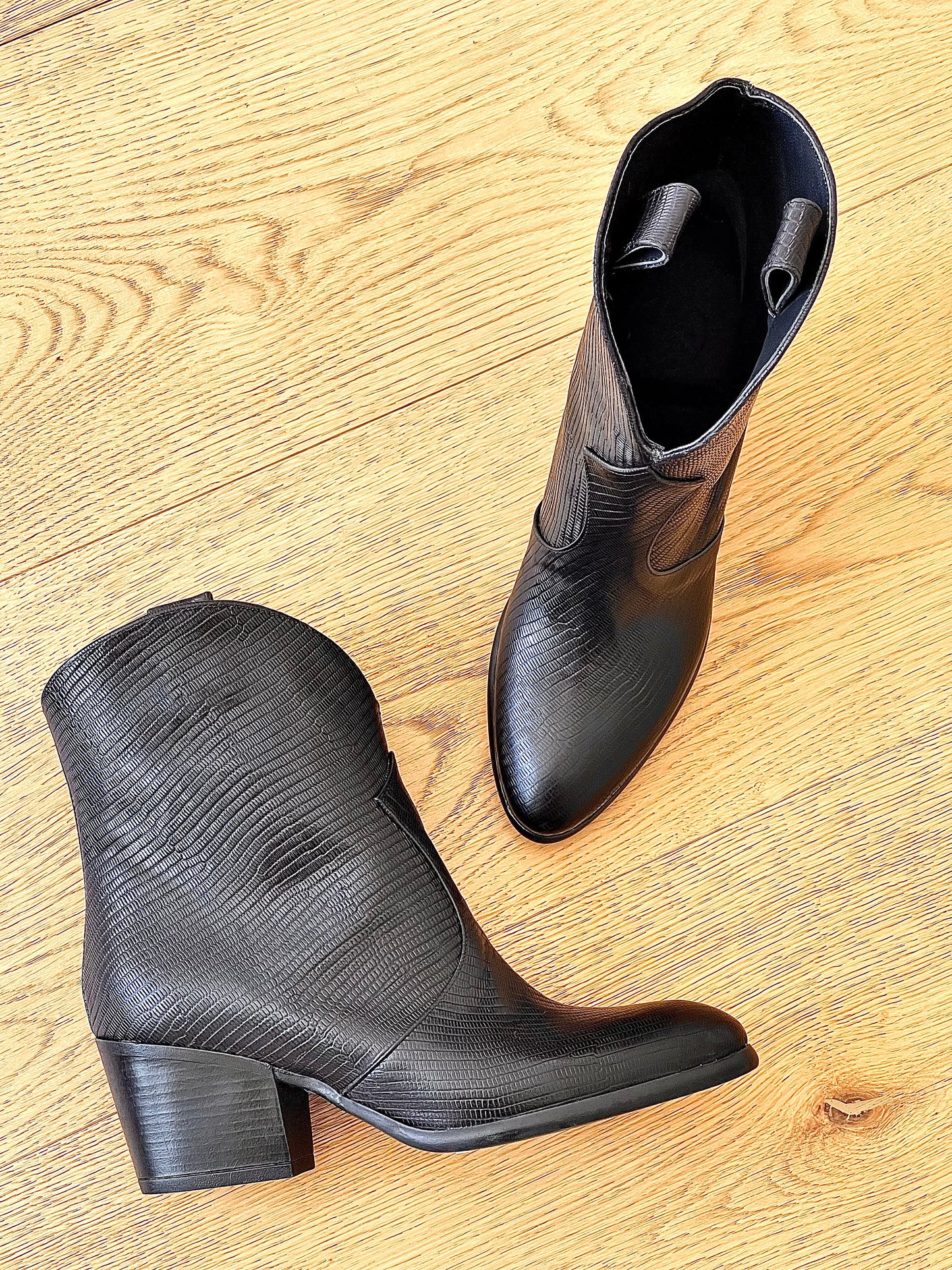 DAKOTA TEJUS BLACK