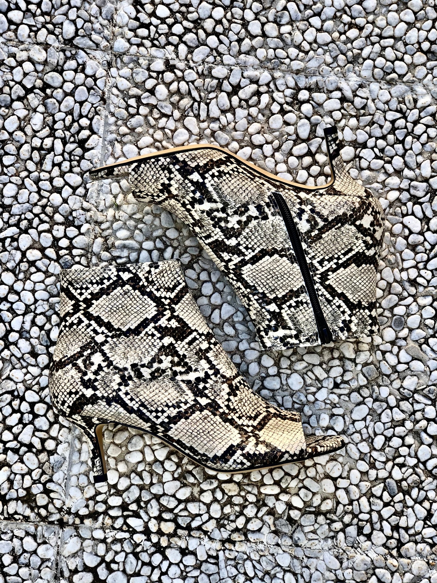 ÁFRICA ROCK