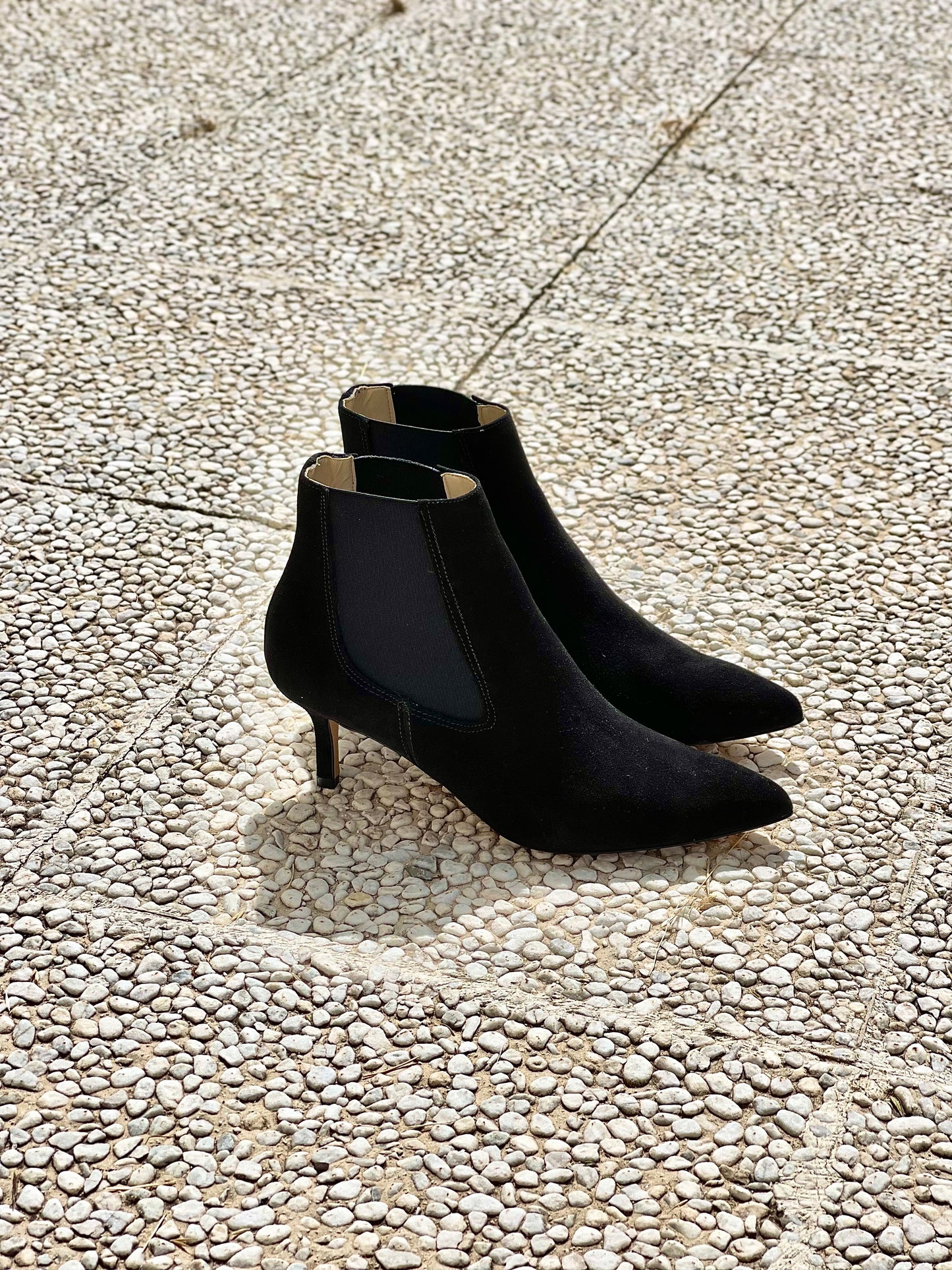 WILMA CAMURÇA PRETA