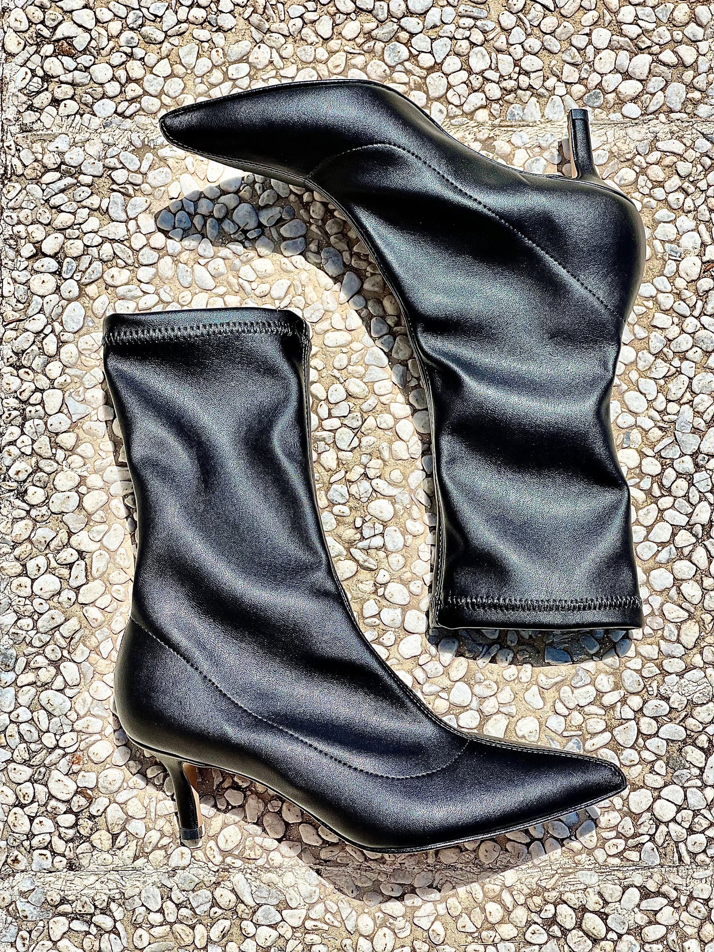 GENGIBRE PRETO