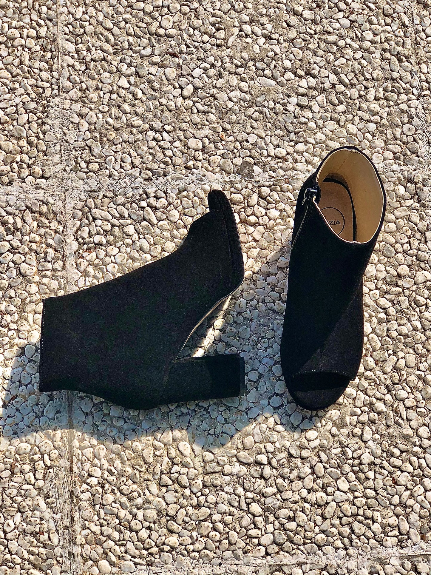 CAMURÇA PRETA AMAZÓNICA
