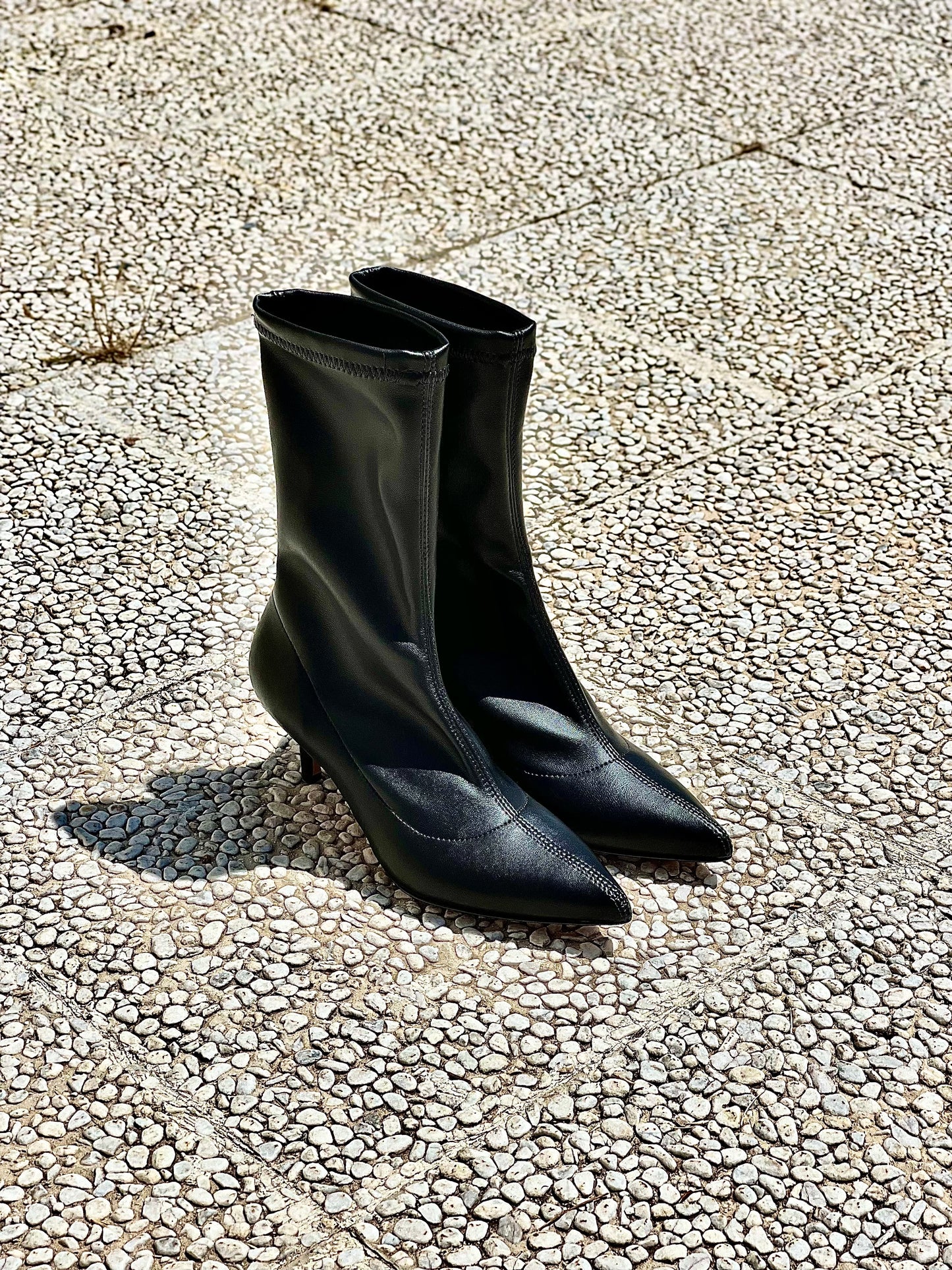 GENGIBRE PRETO
