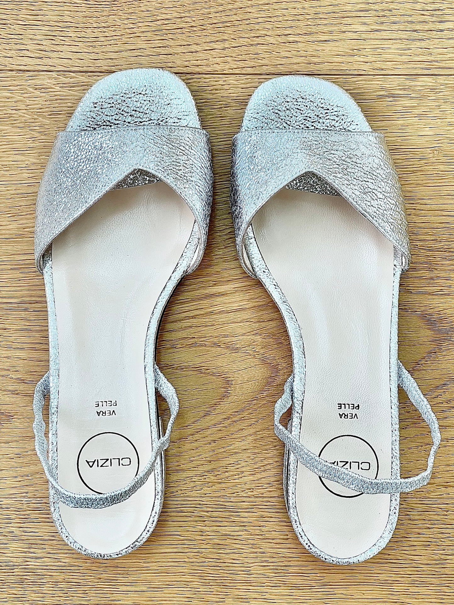FUJI SILVER