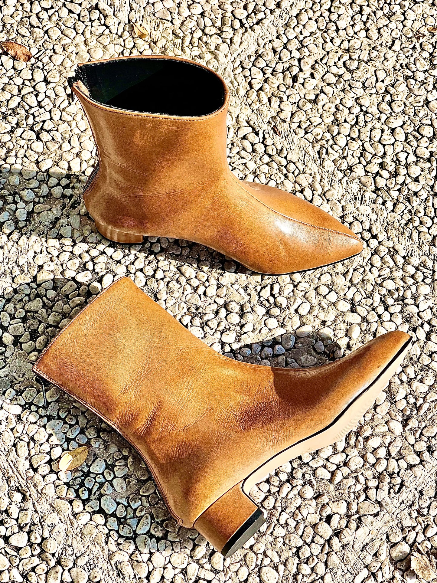 PLANET LEATHER
