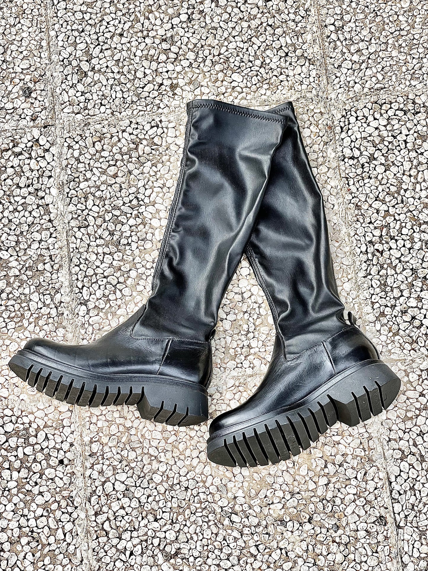 BLACK DINO