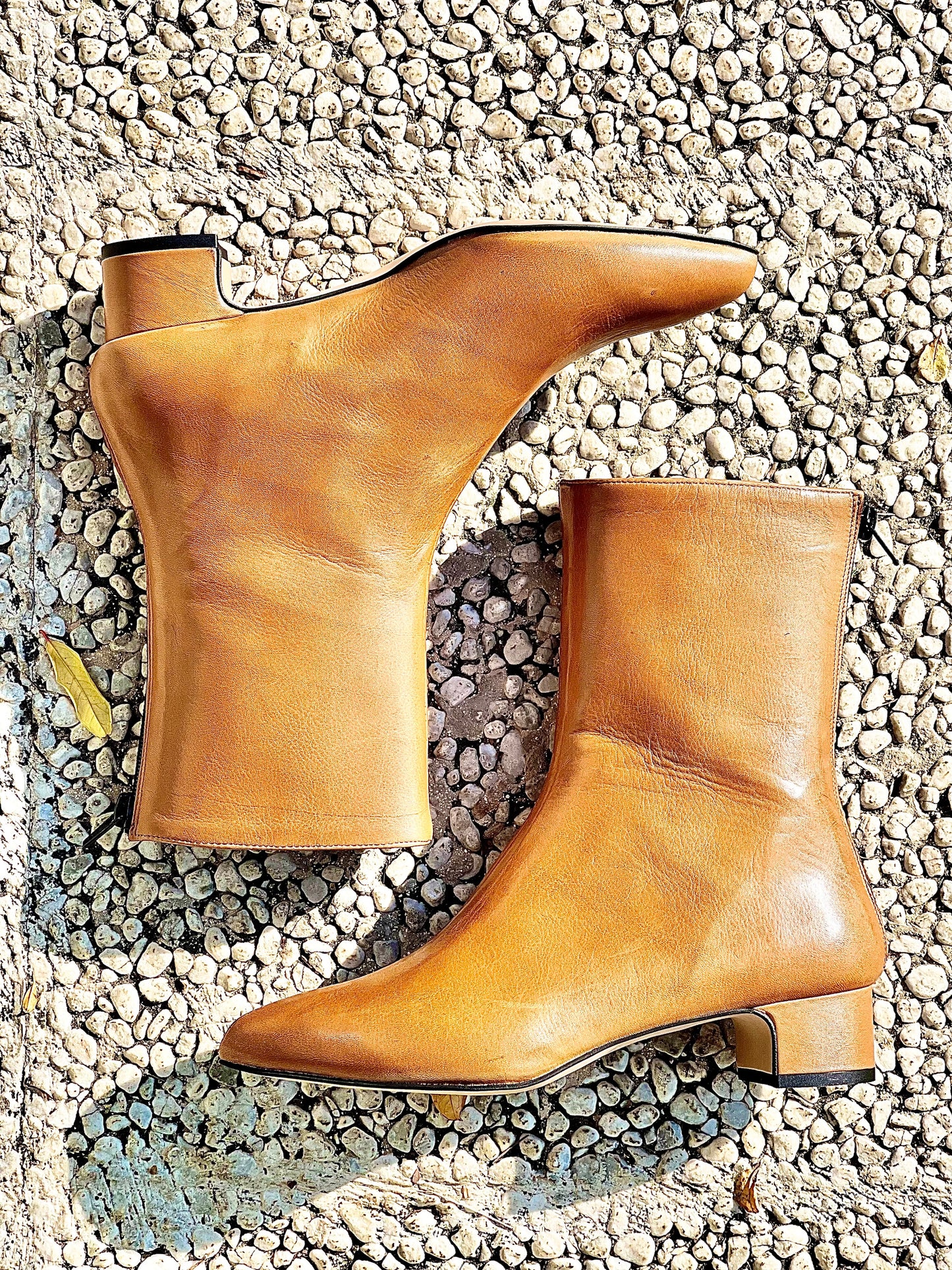 PLANET LEATHER