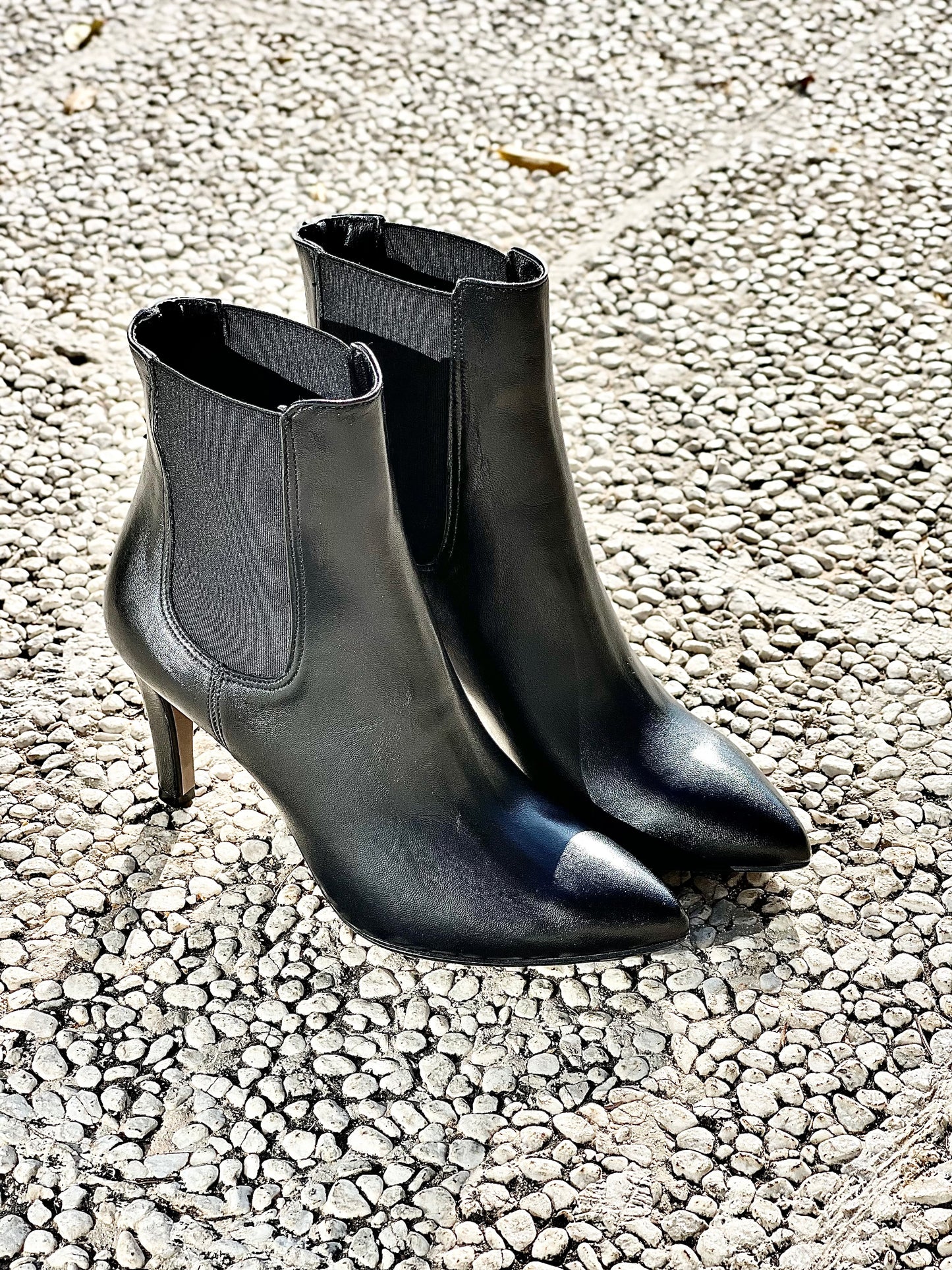 FOX BLACK