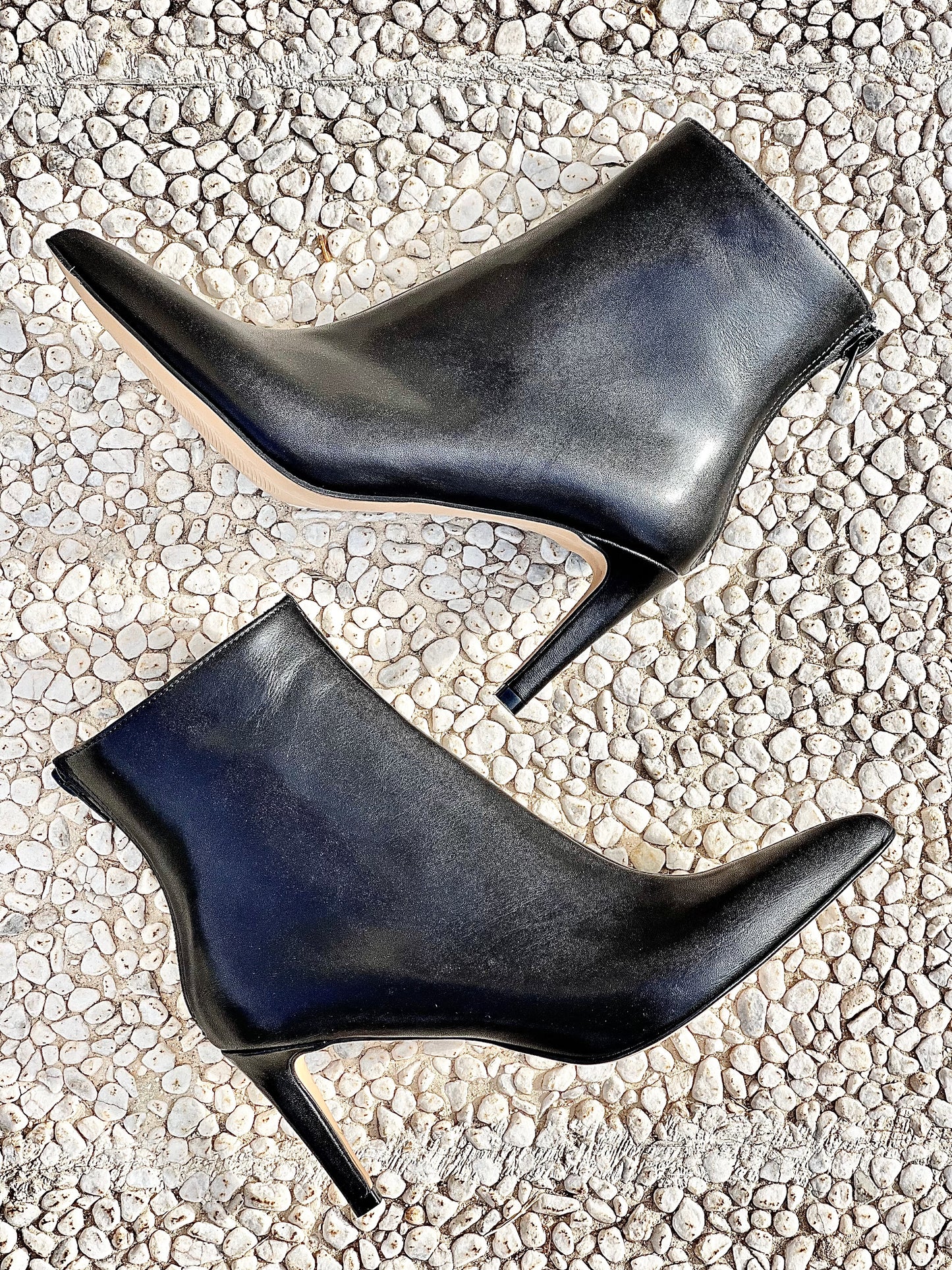 IRIS BLACK