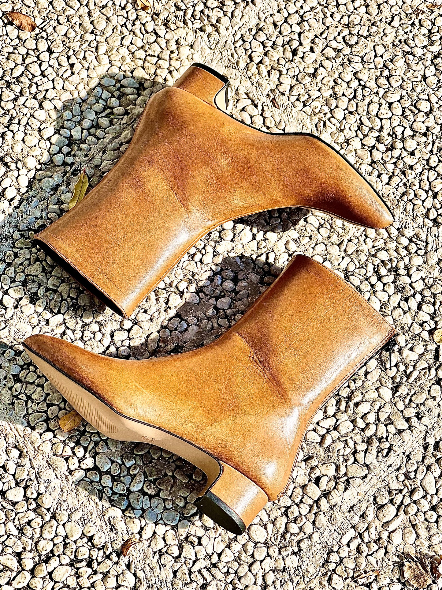 PLANET LEATHER