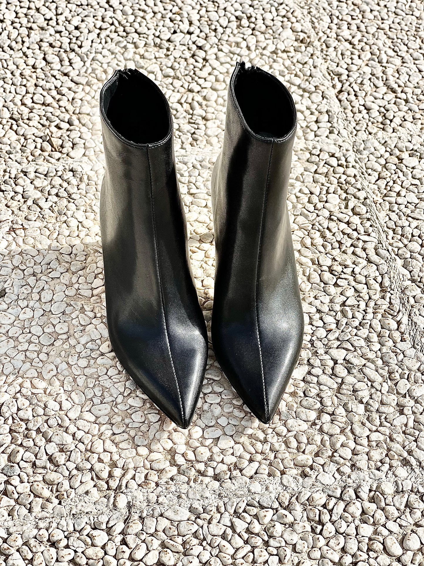 IRIS BLACK