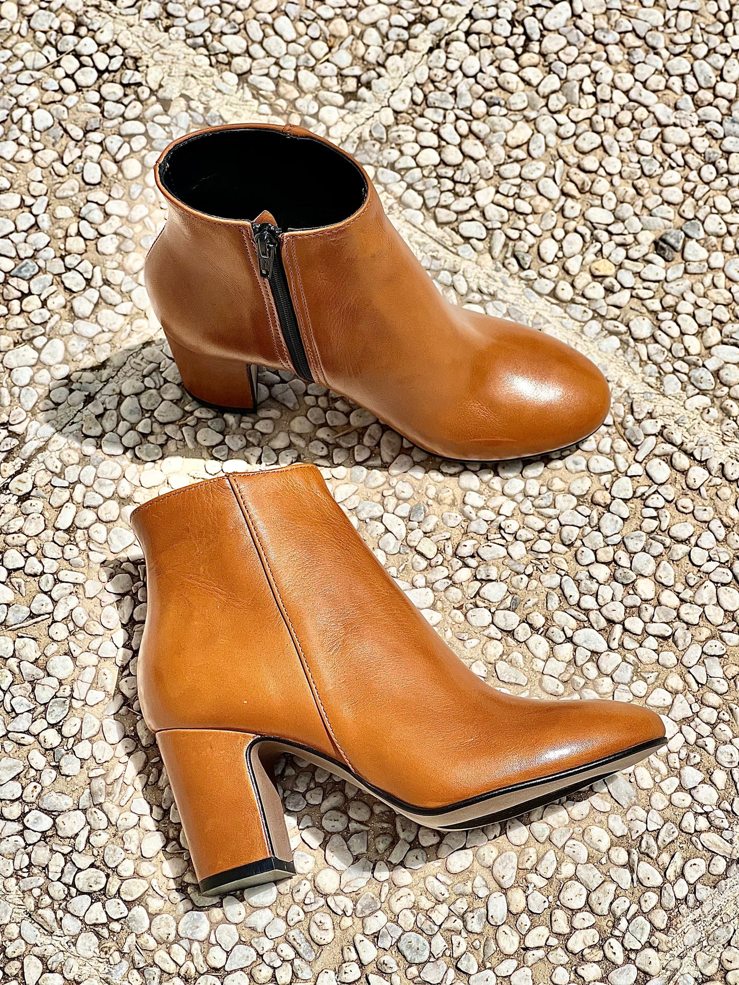 ROMA COGNAC