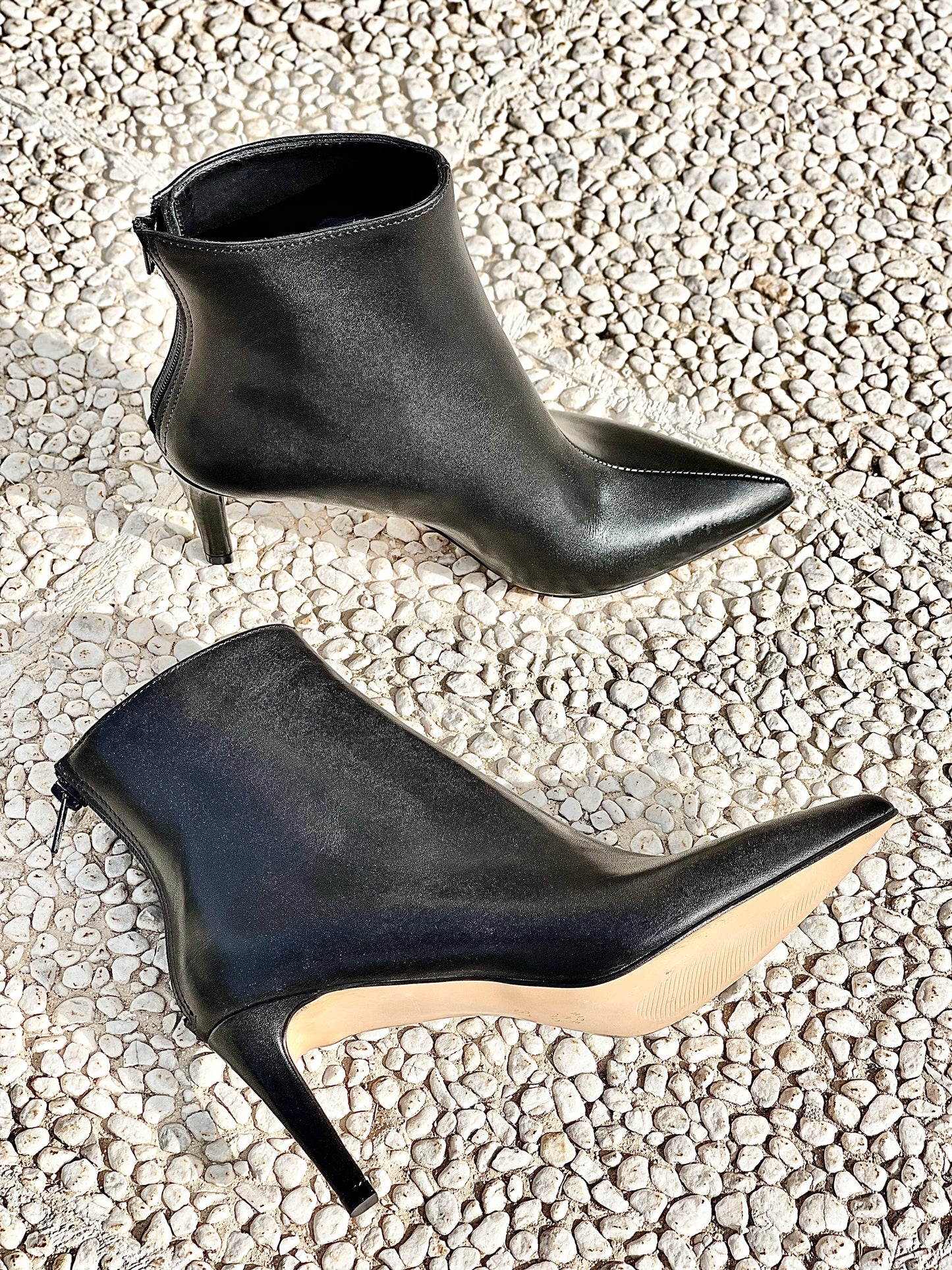 IRIS BLACK