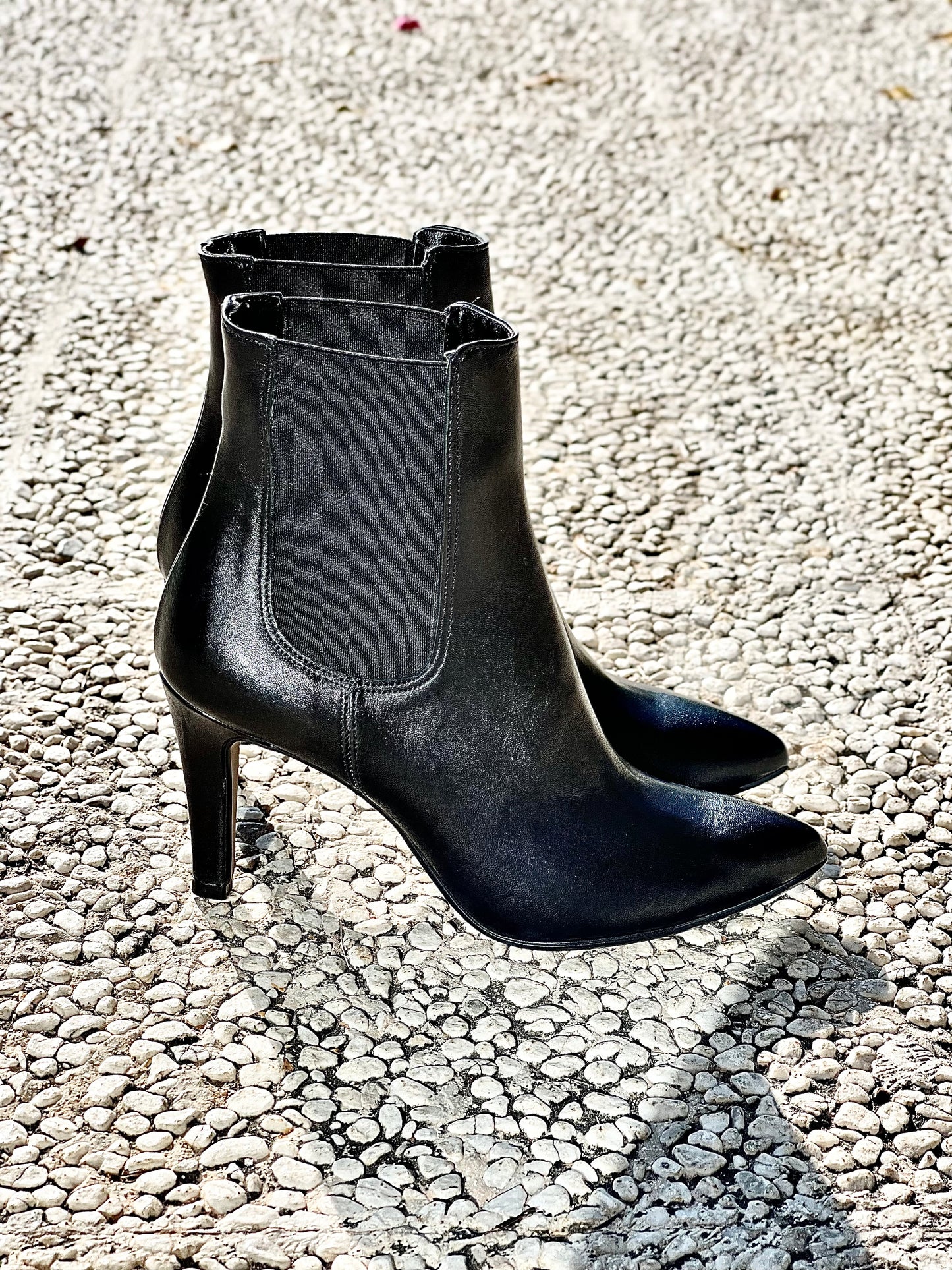 FOX BLACK