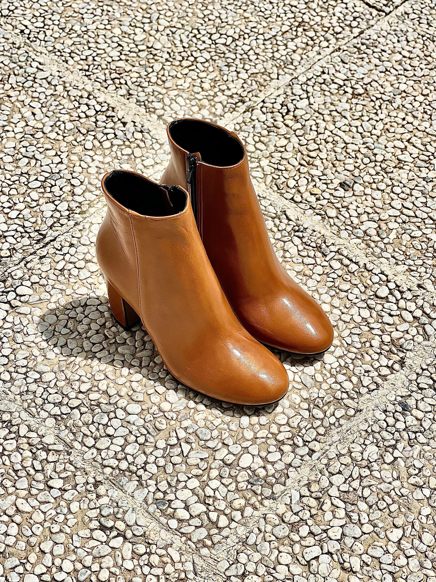 ROMA COGNAC
