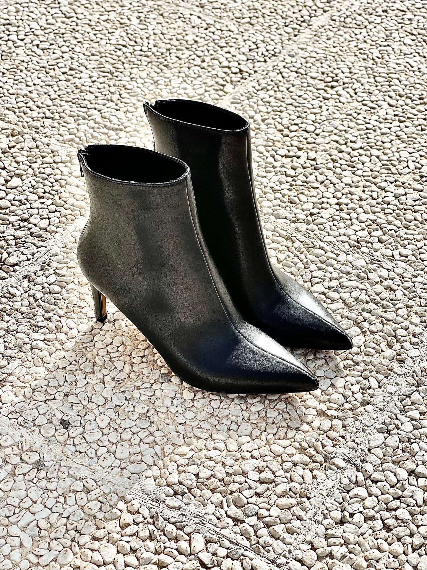 IRIS BLACK