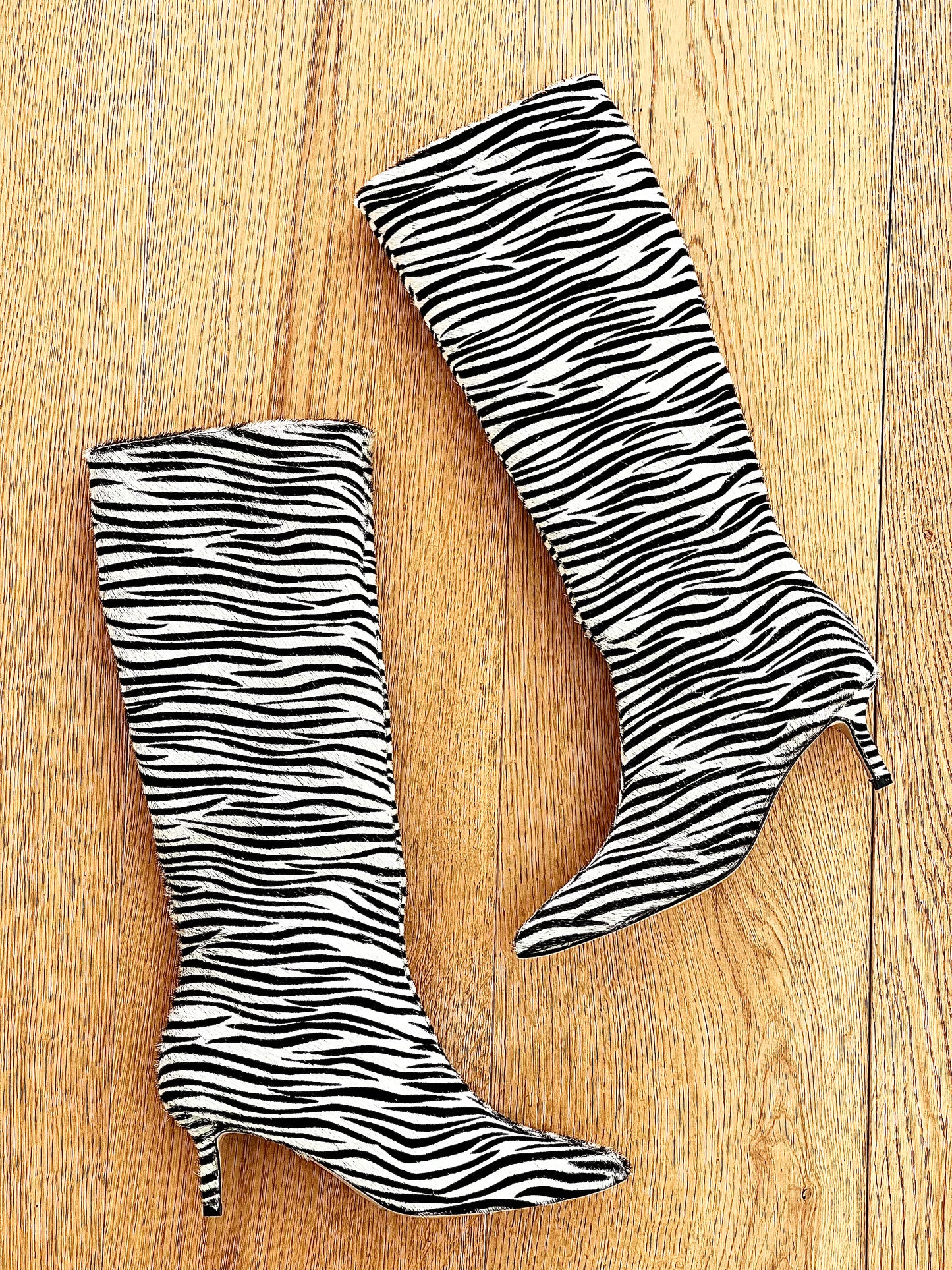 ZEBRA MELISSA