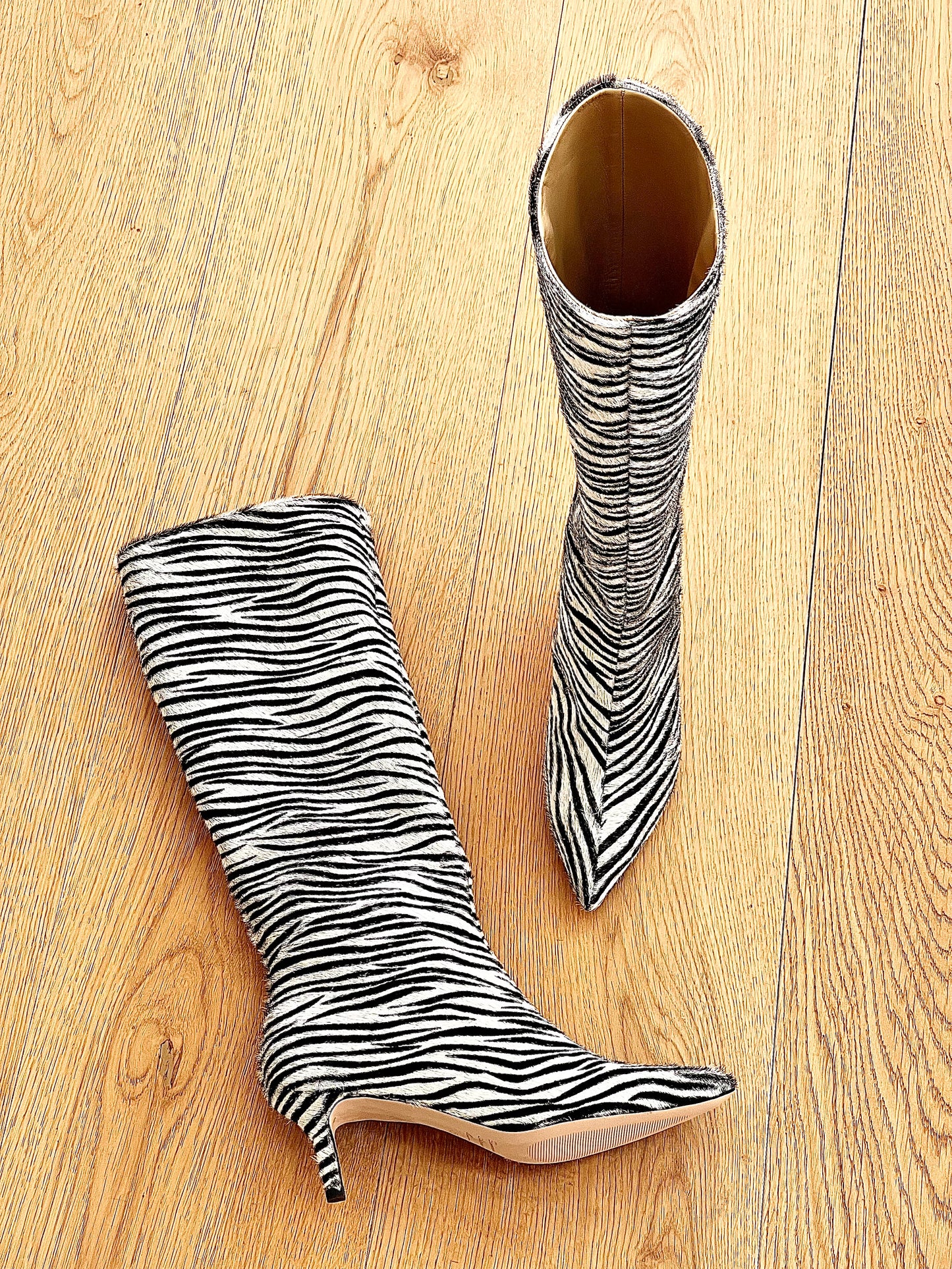 ZEBRA MELISSA