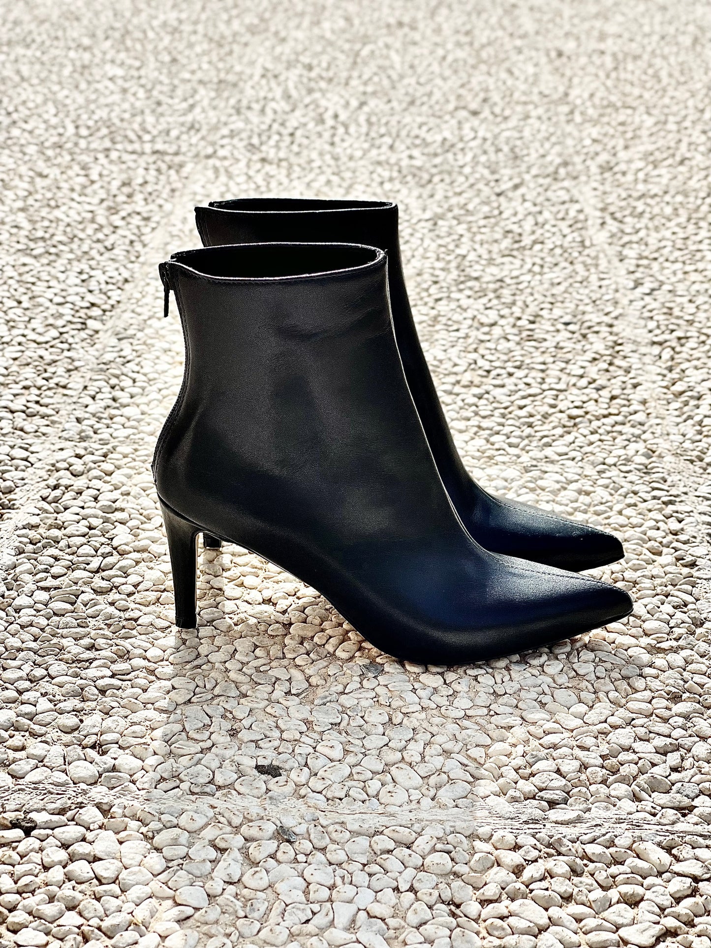 IRIS BLACK