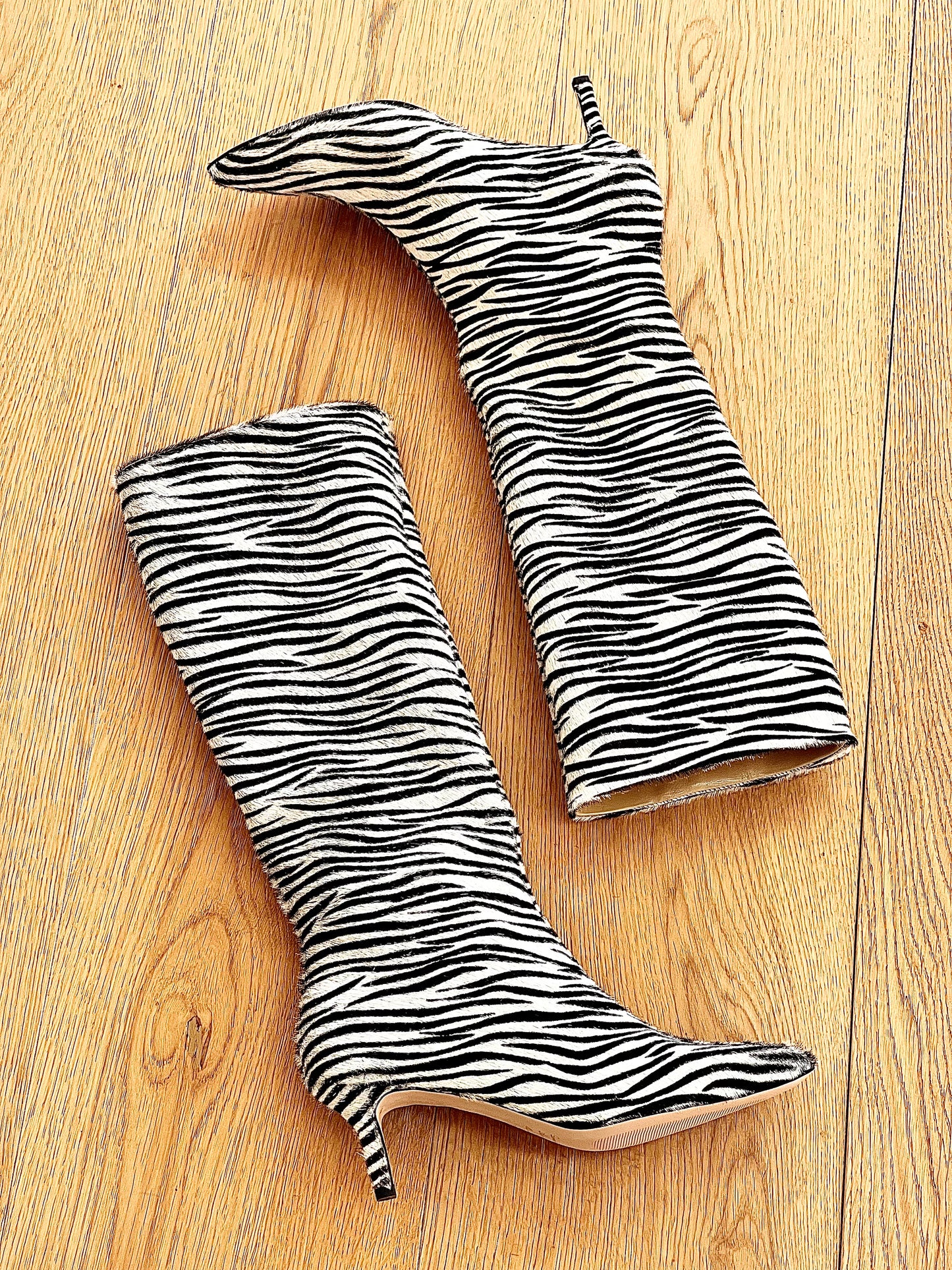 ZEBRA MELISSA