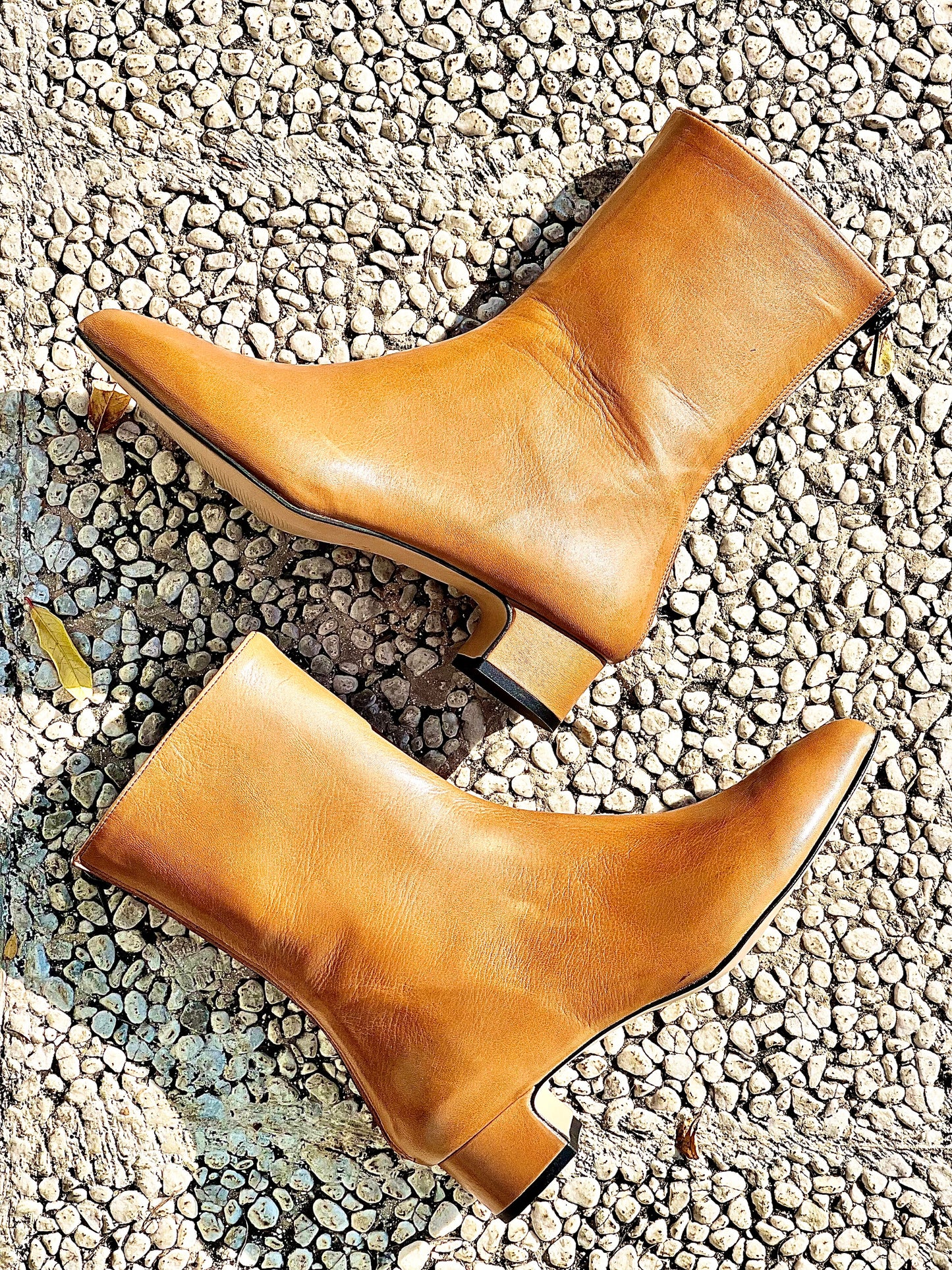 PLANET LEATHER