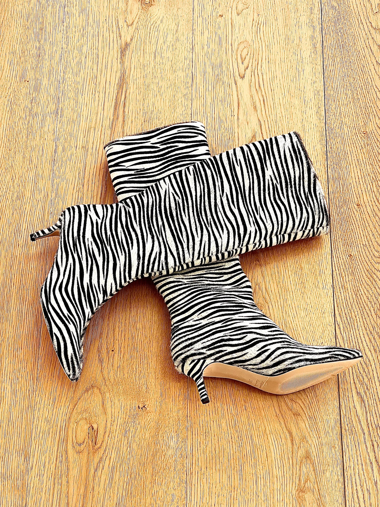 ZEBRA MELISSA
