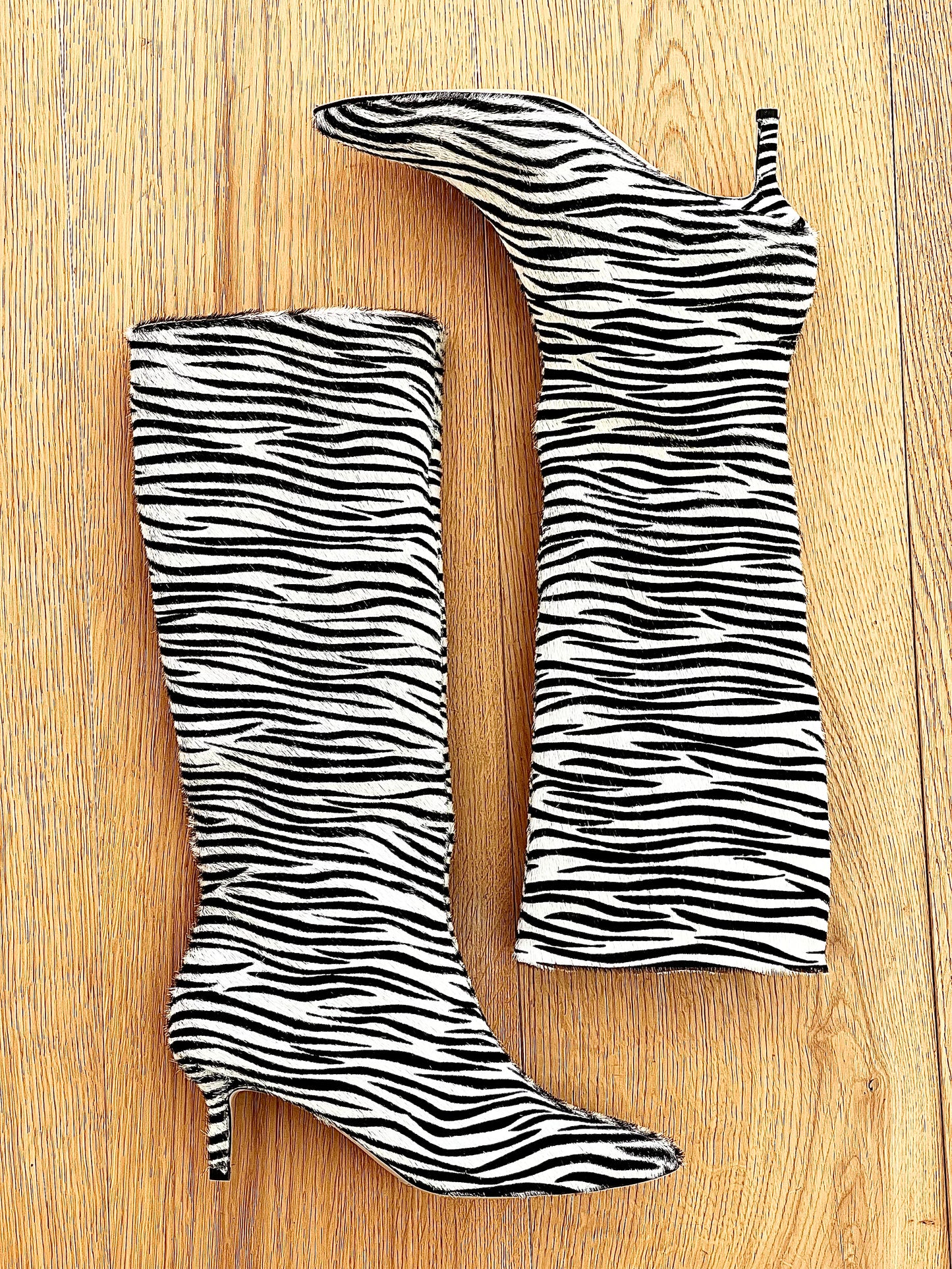 ZEBRA MELISSA