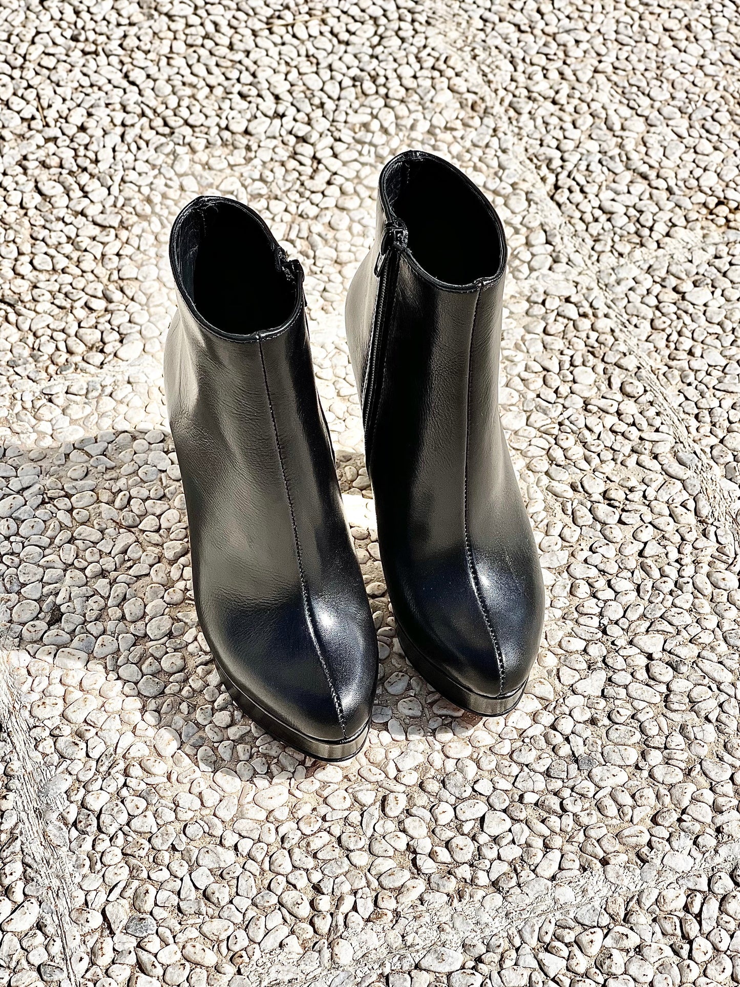 BLACK BOB