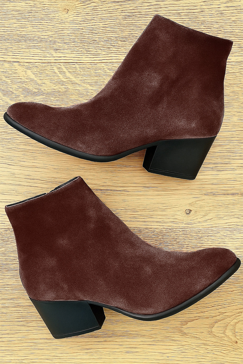 ELISABET BRAUN WILDLEDER