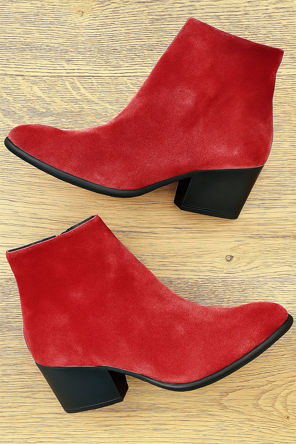 ELISABET ROT WILDLEDER