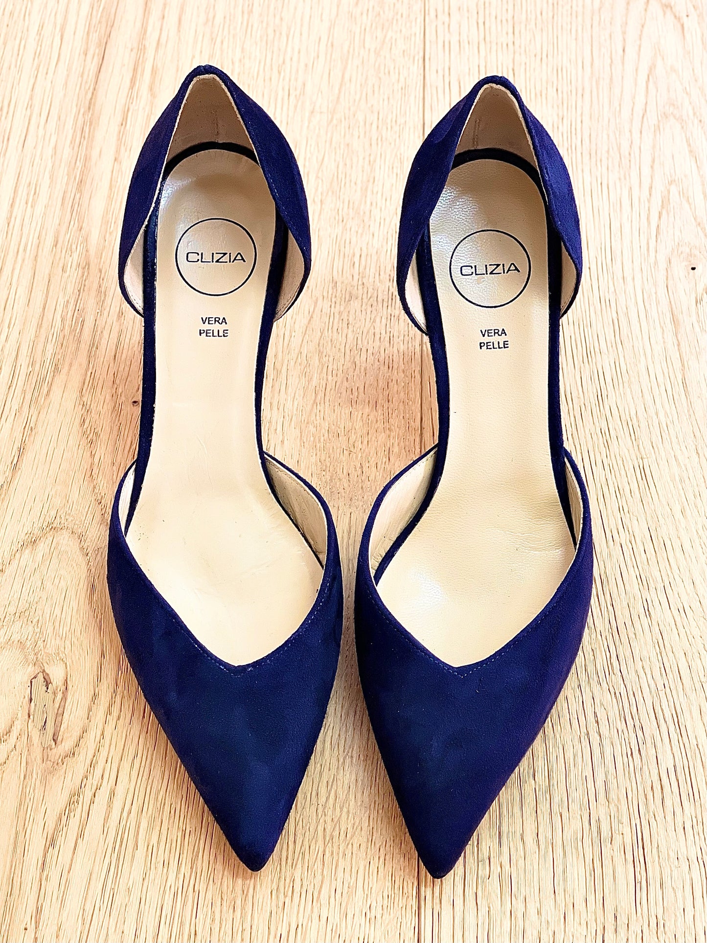 HEIDI BLAU WILDLEDER