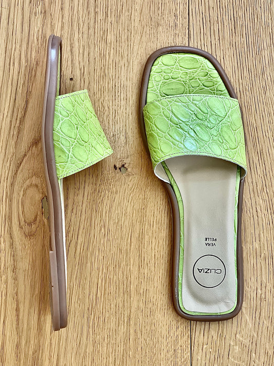 BAKU KOKOSNUSS GRÜN