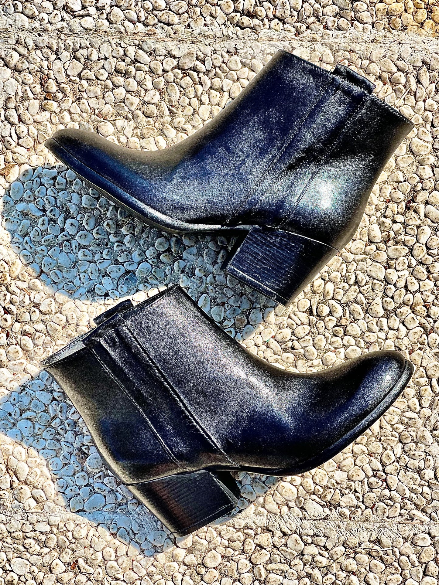 SCHWARZE TESSA