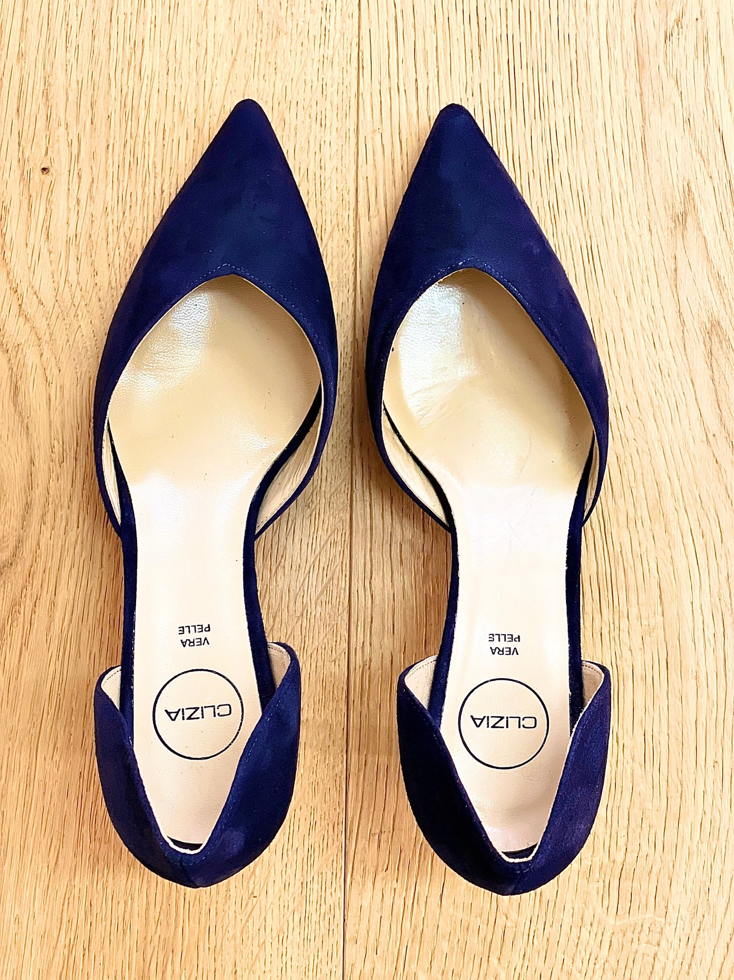 HEIDI BLAU WILDLEDER