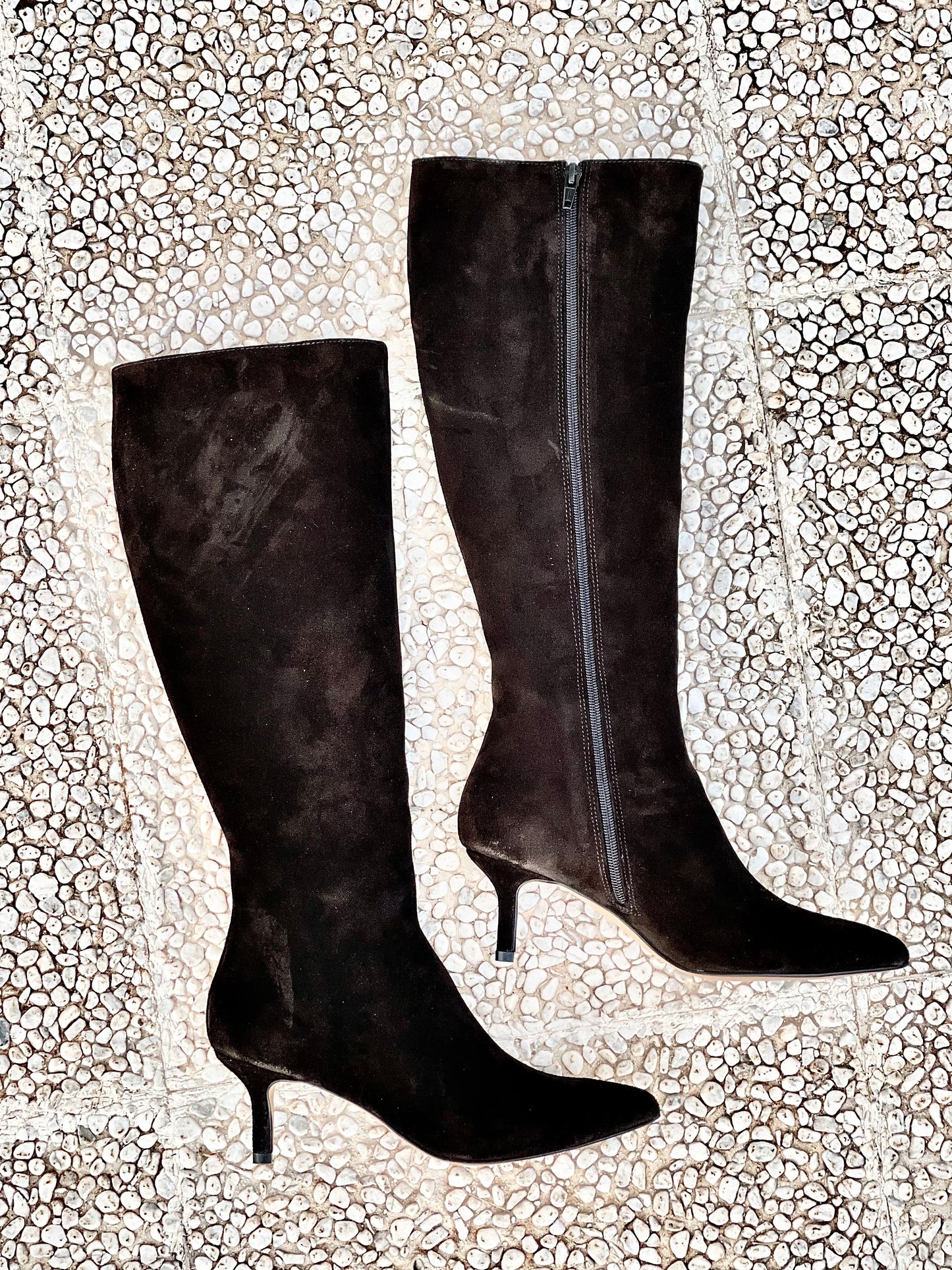 CANDY SCHWARZ WILDLEDER