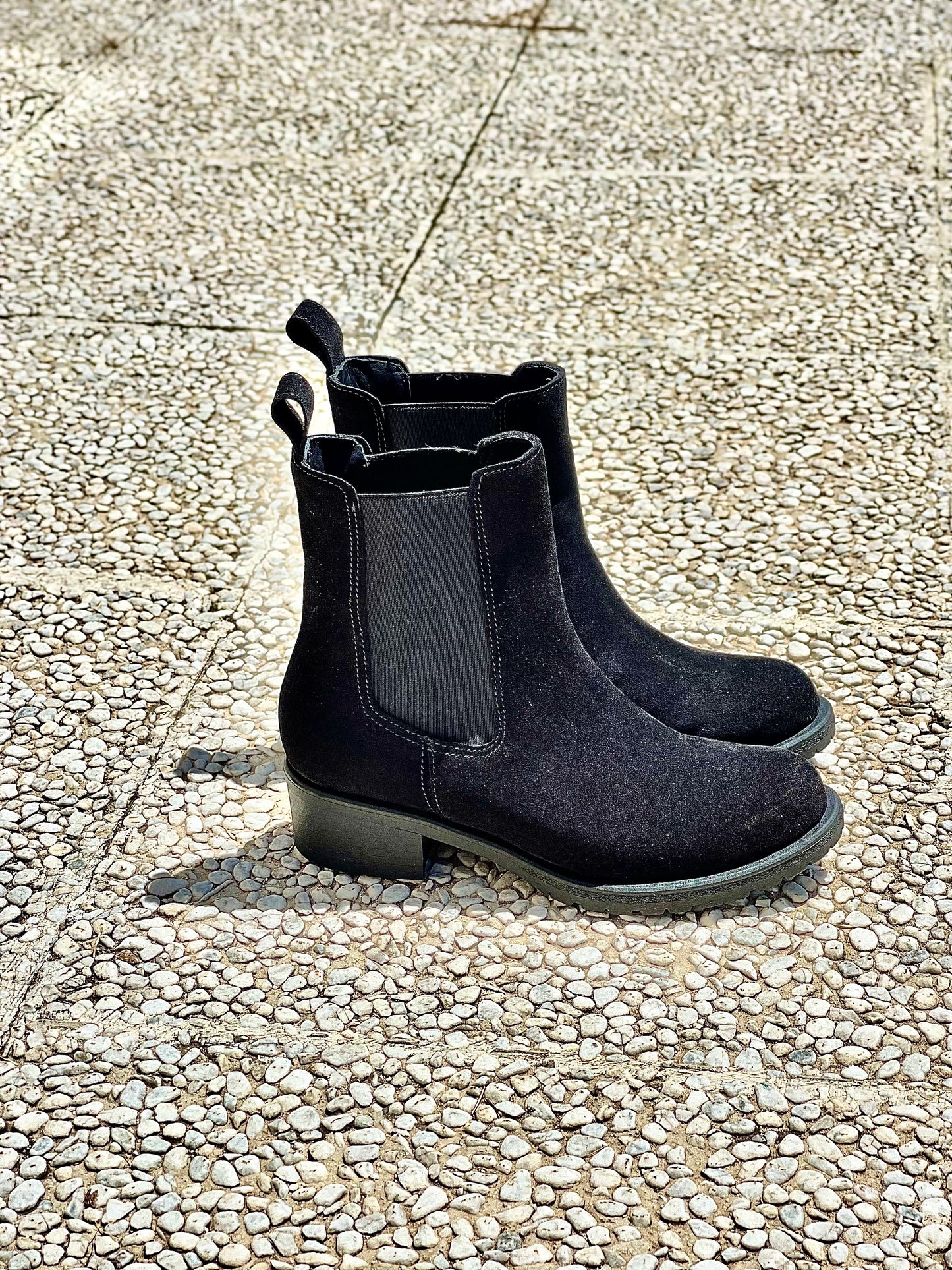 TED SCHWARZES WILDLEDER
