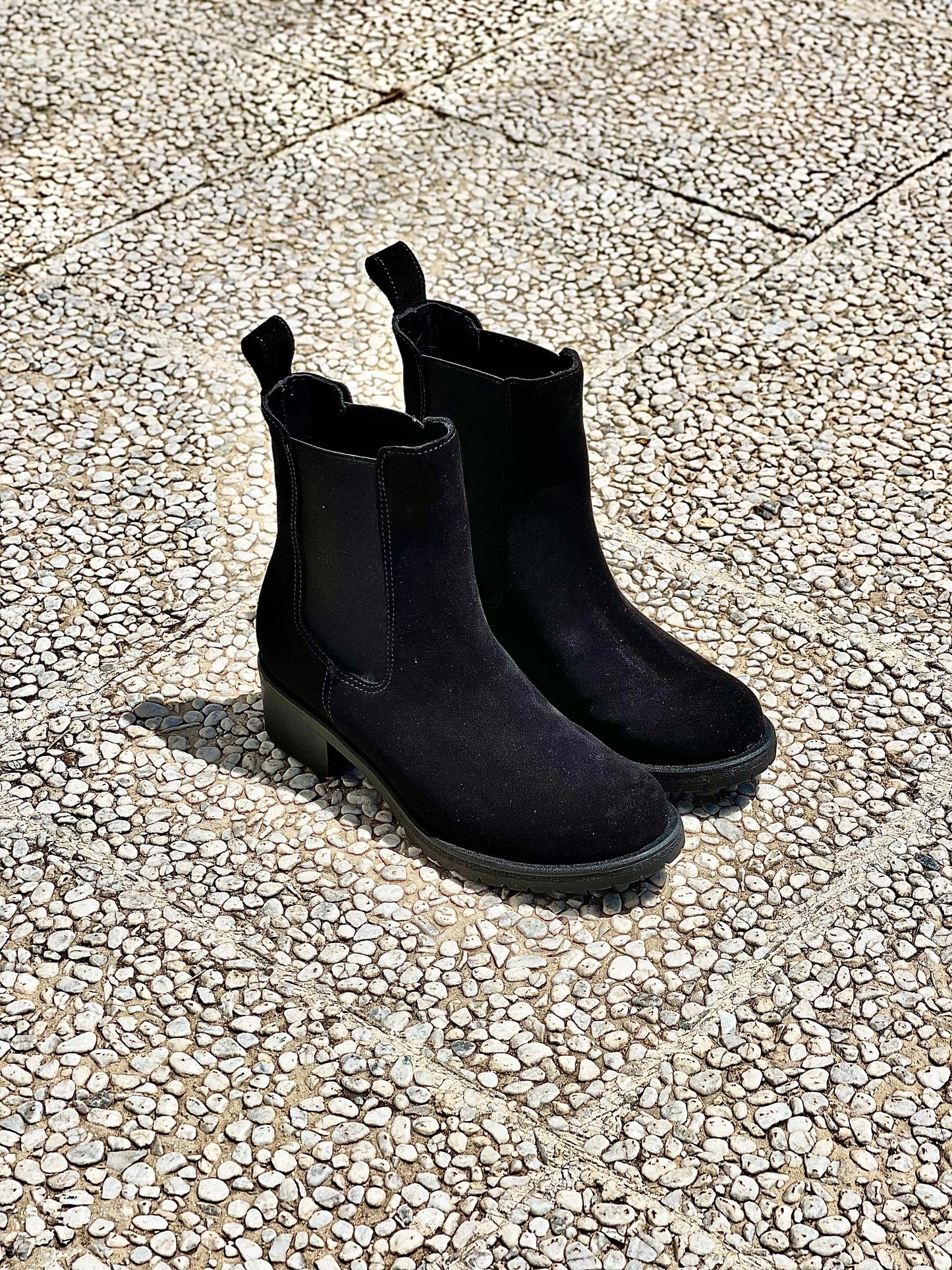 TED SCHWARZES WILDLEDER