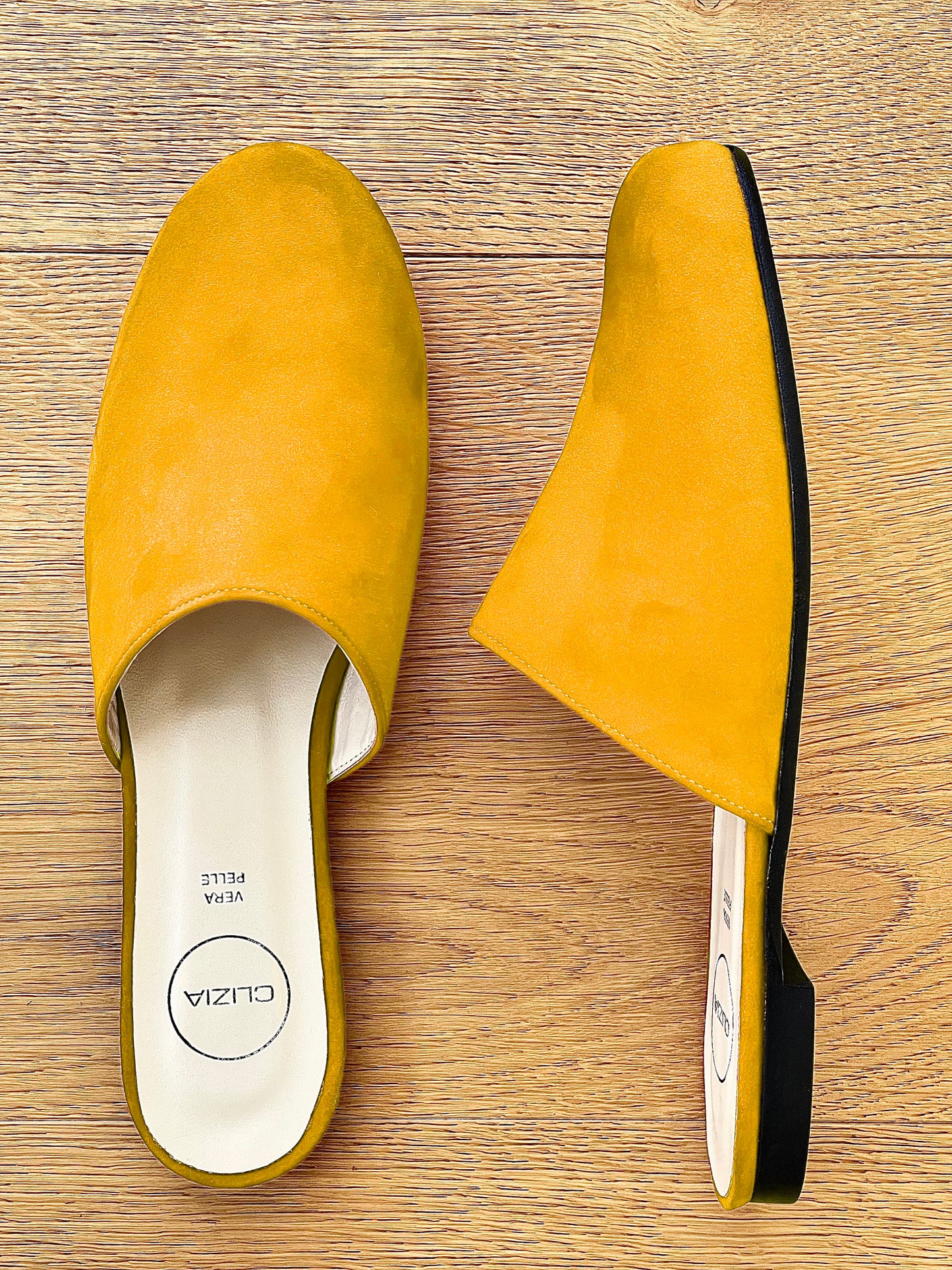 DARCY ΚΙΤΡΙΝΟ ΣΕΝΕΤ