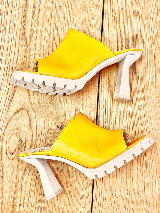YELLOW WONDER